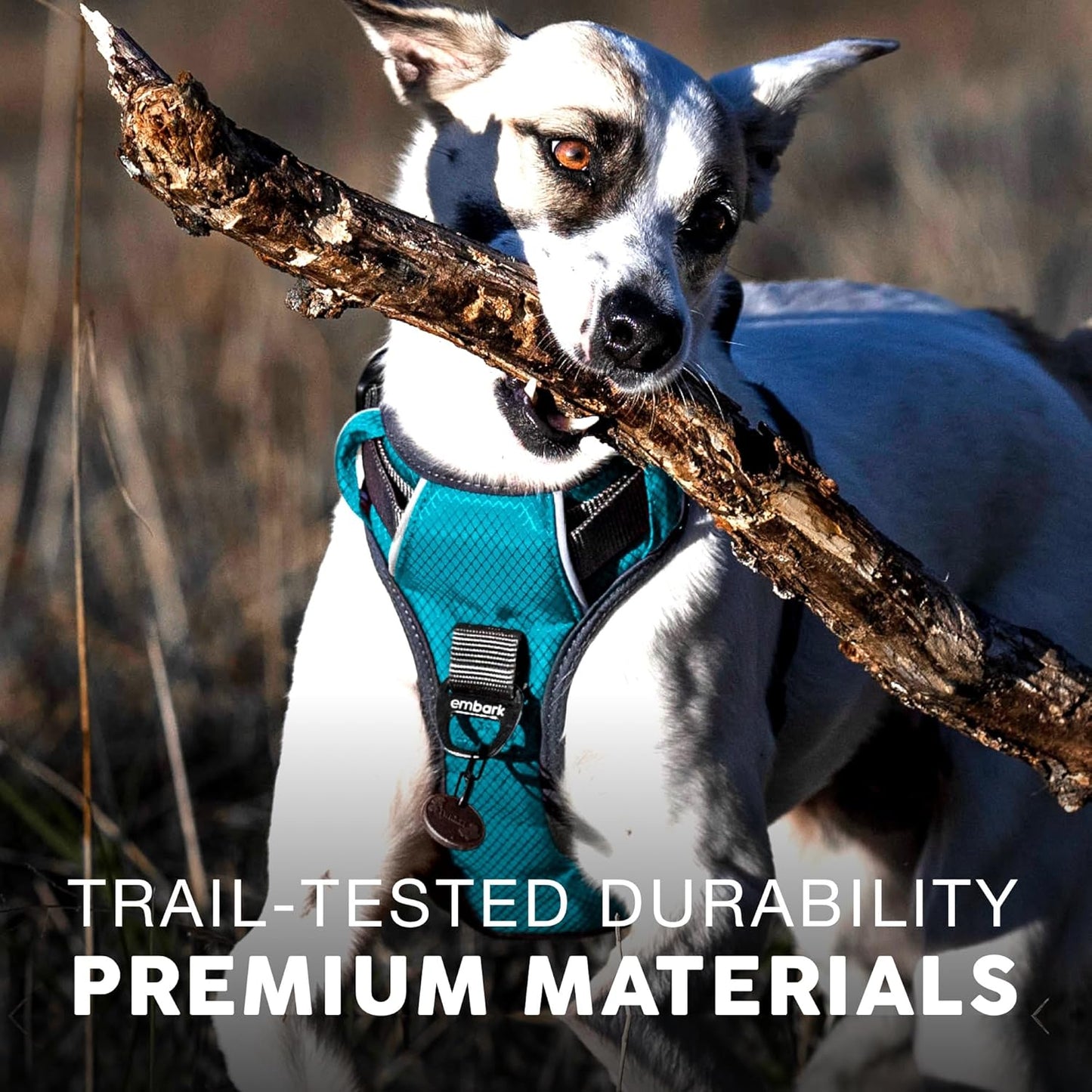 Embark Adventure Dog Harness, No-Pull Reflective Trim Dog Harness for Small, Medium & Large Dogs - Military Grade Nylon, 2 Leash Clips & Gel Lined Handle. Soft & Padded Puppy Dog Vest for Any Breed