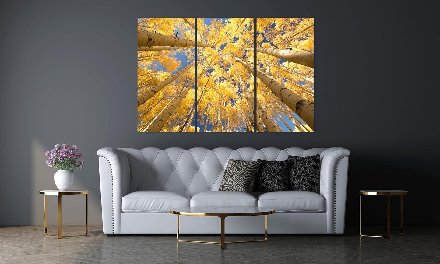Nature Wall Art Prints - Ocean Forest Mountain Lake Canvas Landscapes - Small to Extra Large Living Room Bedroom Kitchen Bathroom Décor (Reaching for the Sky, 47L" x 71W" - 3 panels)