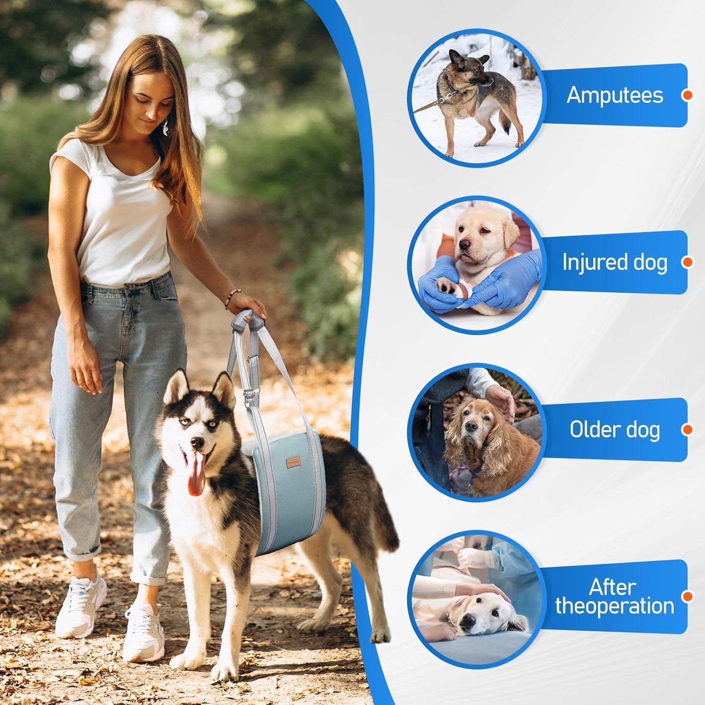 Dog Lift Harness for Extra Large Dogs, Adjustable Dog Sling for Back Legs, Hip Support Harness to Help Lift Dogs Rear for Canine Aid and Old K9 Cruciate Ligament Rehabilitation - Extra Large, Blue