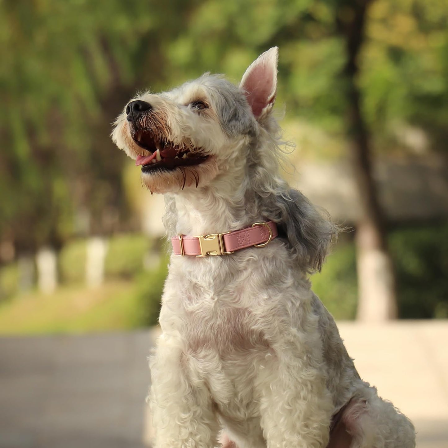 PET ARTIST Soft PU Leather Dog Collar, Bright & Classic Pink Dog Collar with Quick Release Rose Metal Buckle, Adjustable Nylon Padded Durable Pet Collars for Medium Dogs Girl, Neck Fit 13-19"