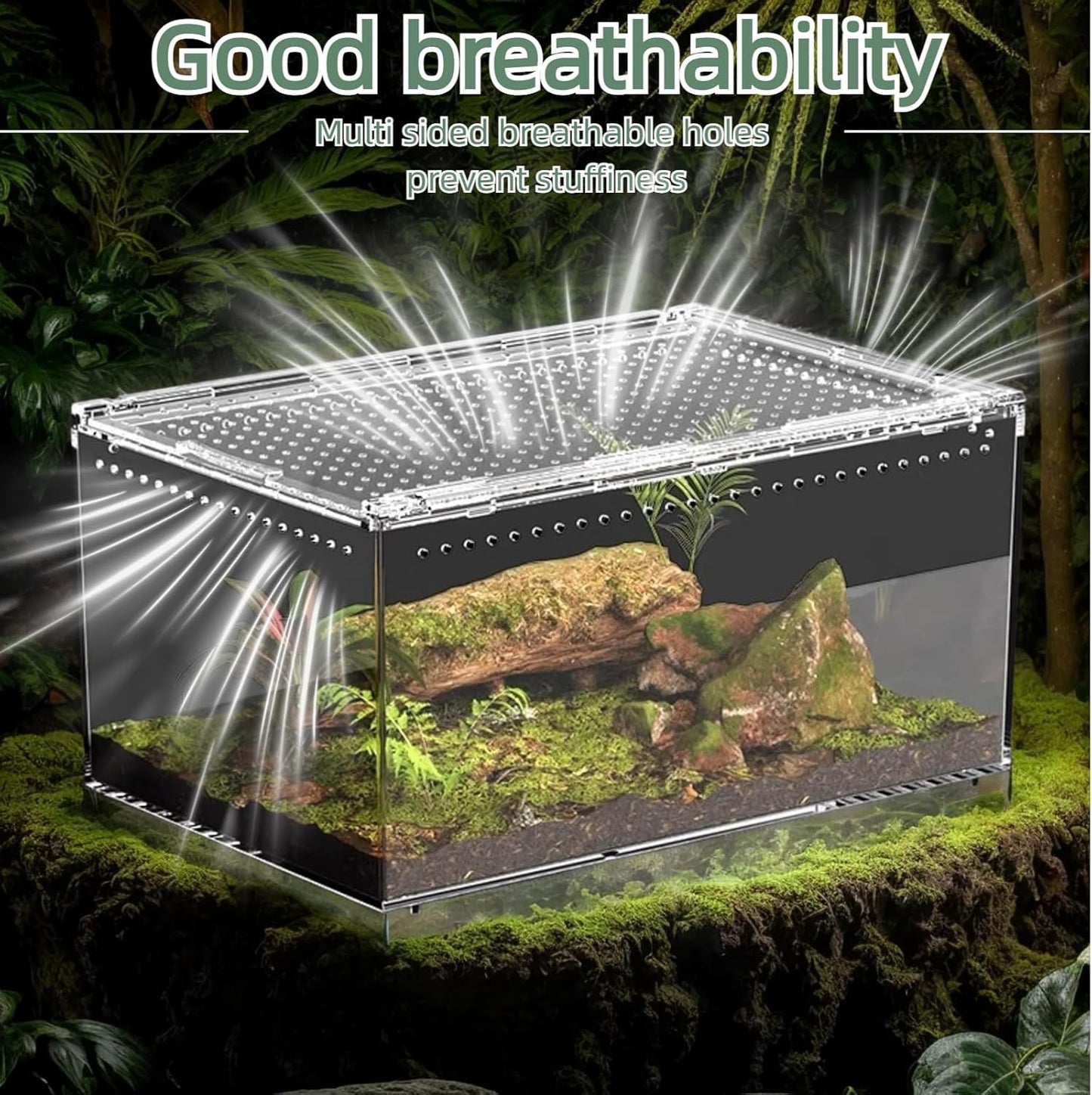 PC Reptile Terrarium, Hermit Crab Tank, Jumping Spider Enclosure, Tarantula Enclosure, Suitable for Gecko, Leopard Gecko, Tree Frog, Lizard, Praying Mantis Habitat Tank Starter (Small)