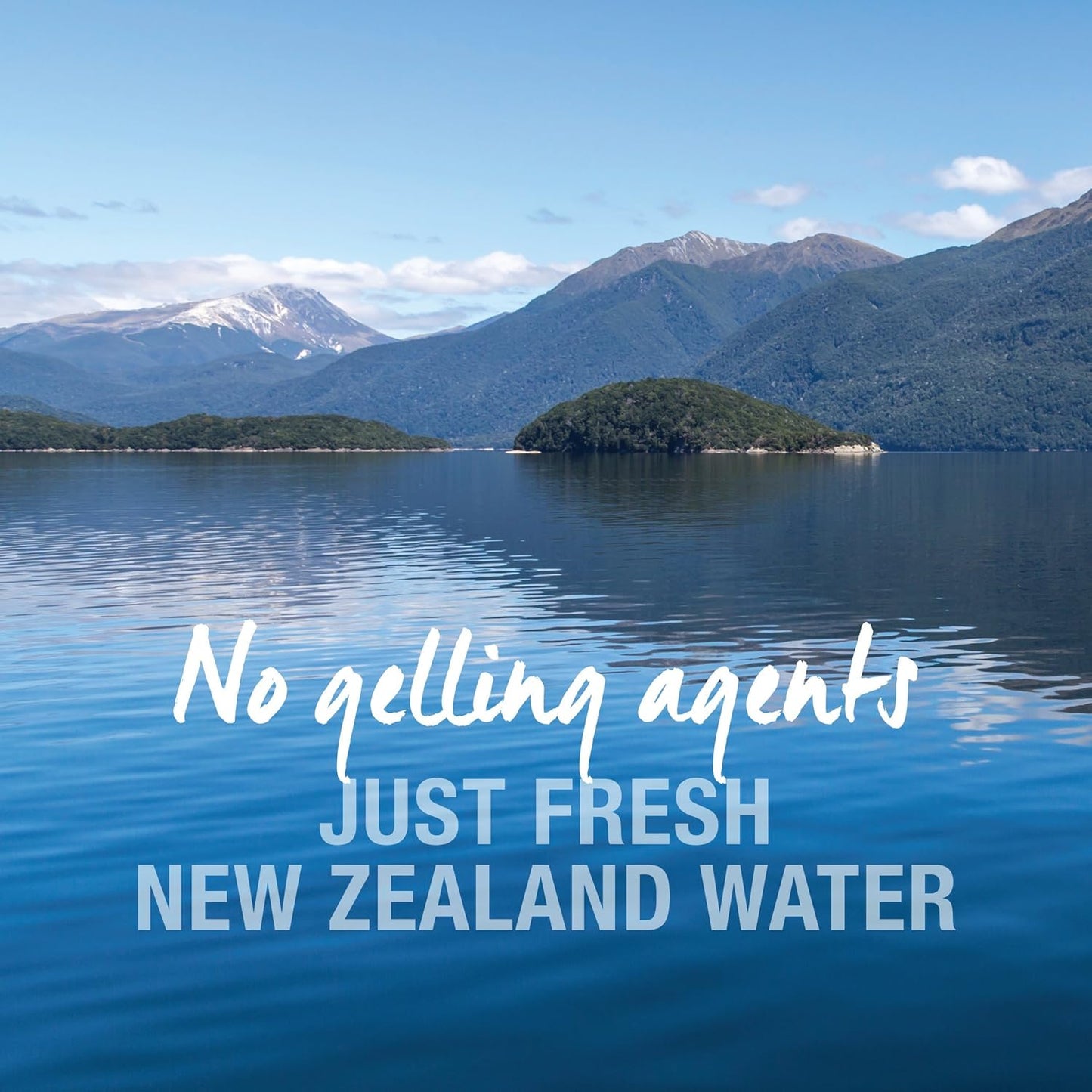 Feline Natural New Zealand Canned Catfood Wet Food, High-Meat, Low-Carb, & Grain Free Cat Food Wet, Lamb Feast, 3 oz, Pack of 24