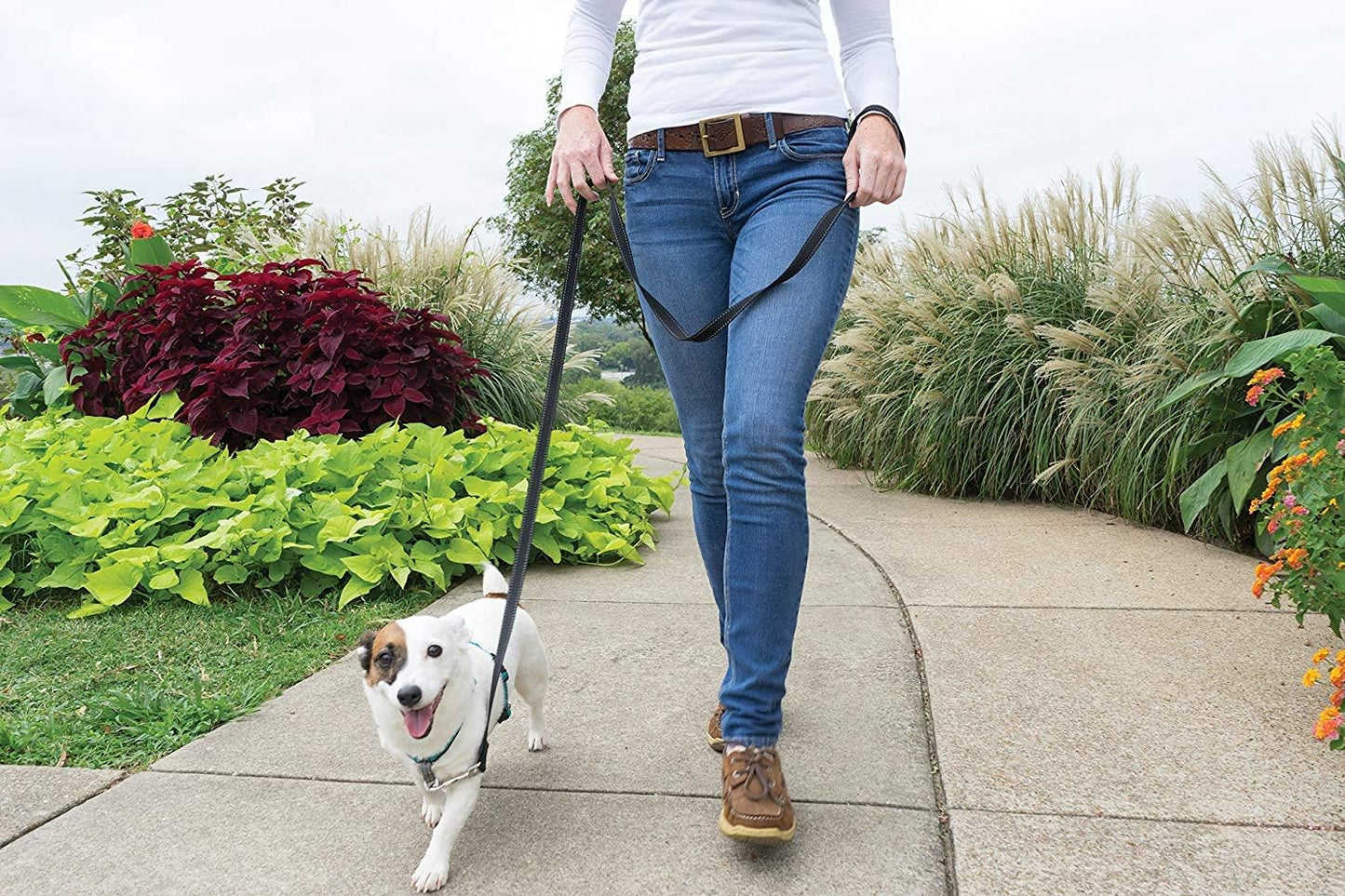 PetSafe 3 in 1 Dog Harness - No Pull Solution for Dogs - Reflective Dog Harness - Front D-Ring Clip Helps Stop Pulling - Comfortable Padded Straps - Top Handle Enhances Control - Teal - Small