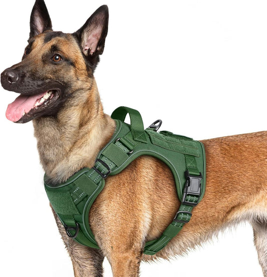 rabbitgoo Dog Harness for Large Dogs No Pull, Tactical Service Pet Vest with Molle and Control Handle, Adjustable and Reflective Military Harness for Easy Walking and Training, Green, L