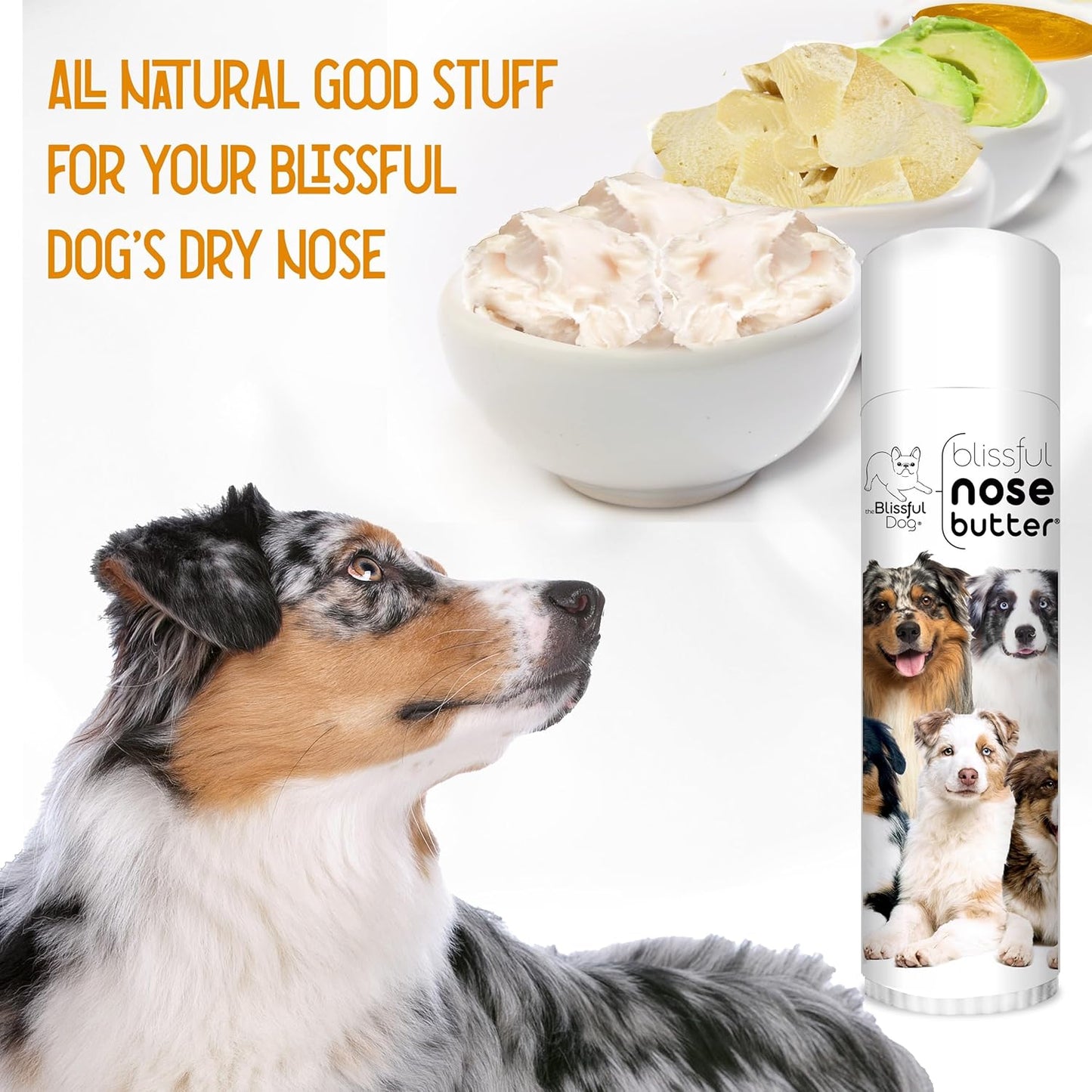 The Blissful Dog Australian Shepherd Nose Butter for Dry, Cracked Skin, Lick-Safe Dog Nose Balm with Moisturizing Shea Butter, Almond, Olive, and Essential Oils, Pet Supplies, Uncented, 0.50 oz.