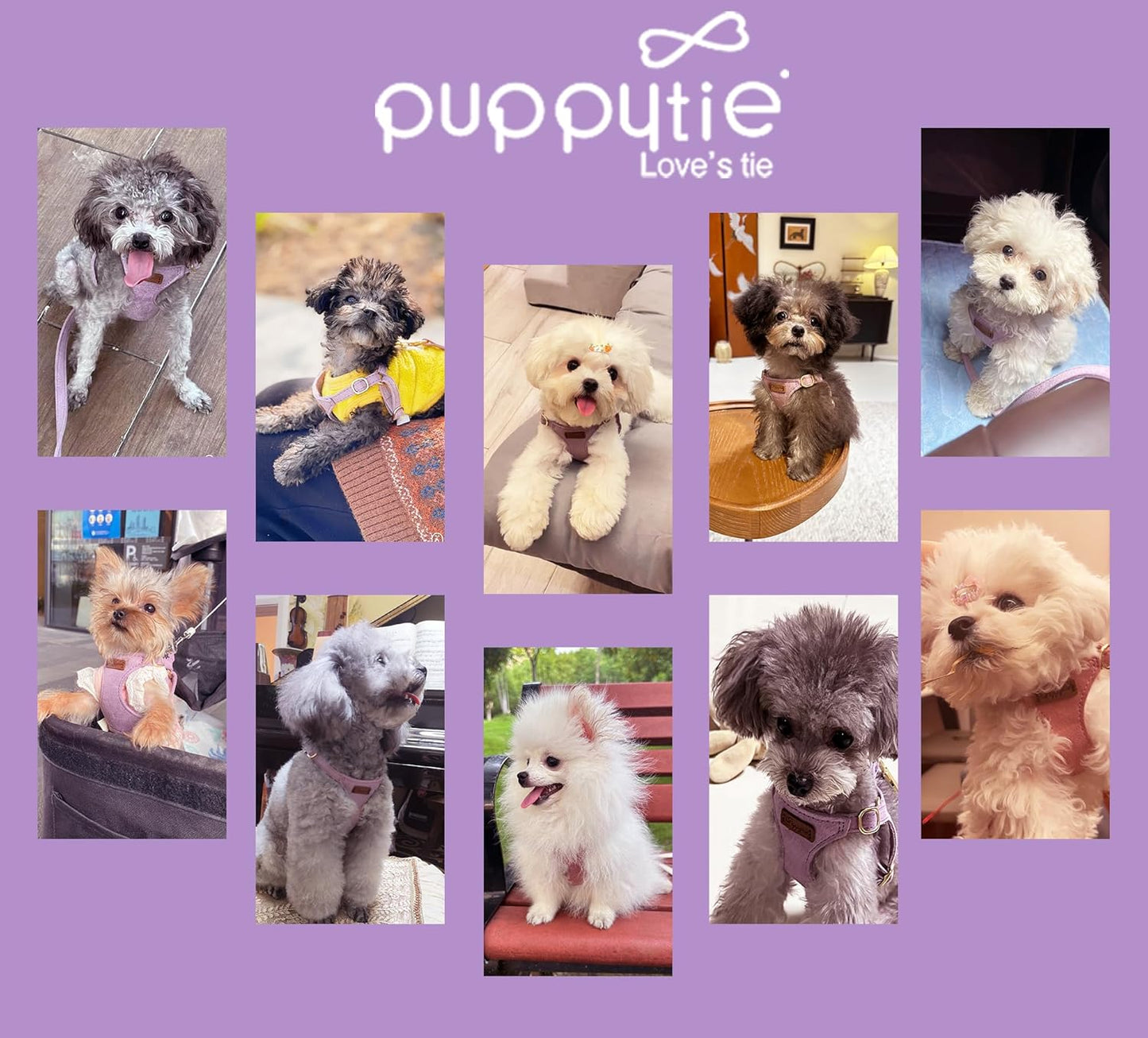 Puppytie No Pull Small Dog Harness with Multifunction Dog Leash,Lightweight Soft Adjustable No Choke Escape Proof Pet Harness Vest Pet Harness Vest,Light Purple,S