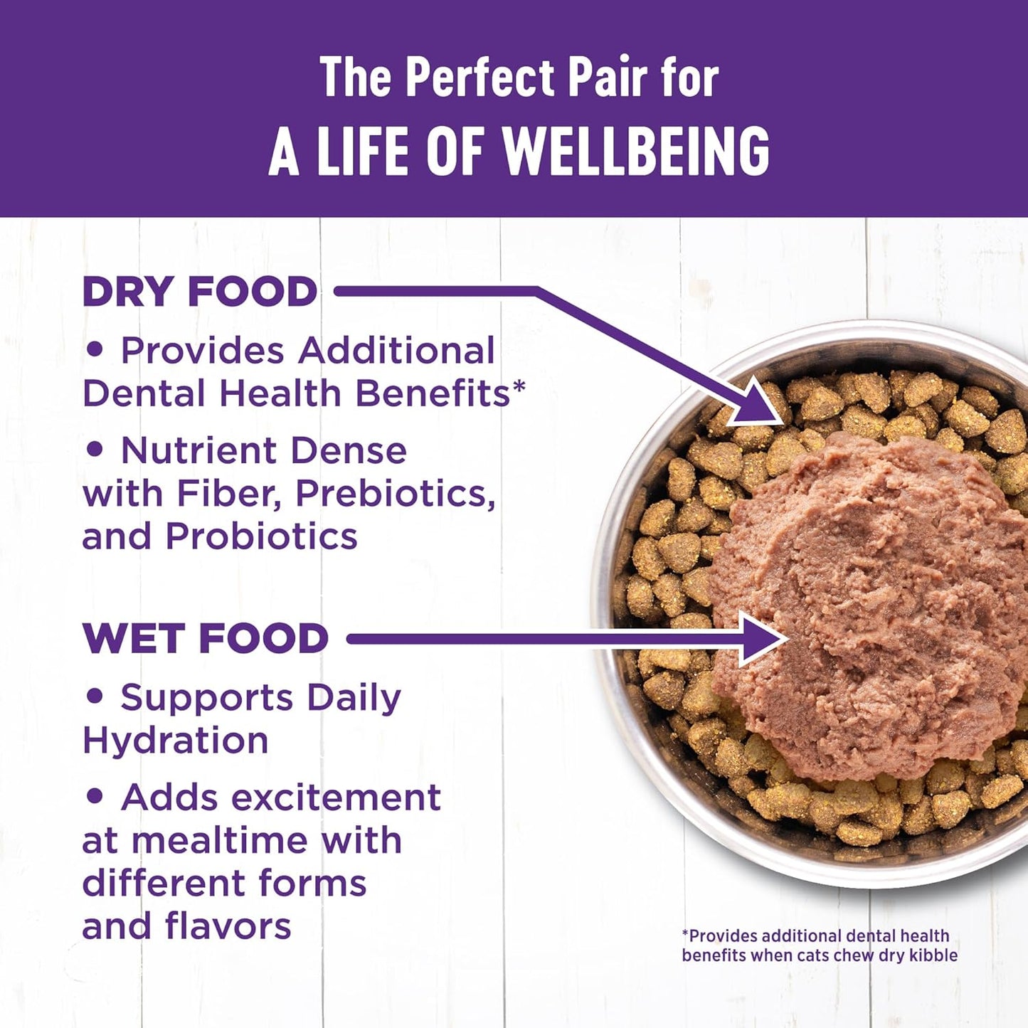 Wellness Complete Health Pate Adult Wet Cat Food, Natural, Protein-Rich, Grain Free, 3 Ounce, 24 Pack, (Beef & Salmon)