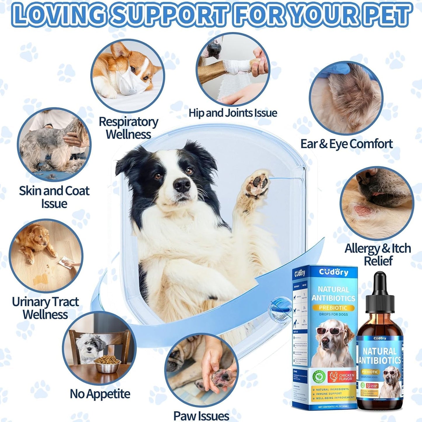 Natural Antibiotics for Dogs, Herbal Dog Antibiotics Supplement with Prebiotics for Dog Allergy Itch Relief Cough Immune Support Dog UTI Comfort for All Breeds and Ages-Chicken Flavor | 2 fl oz