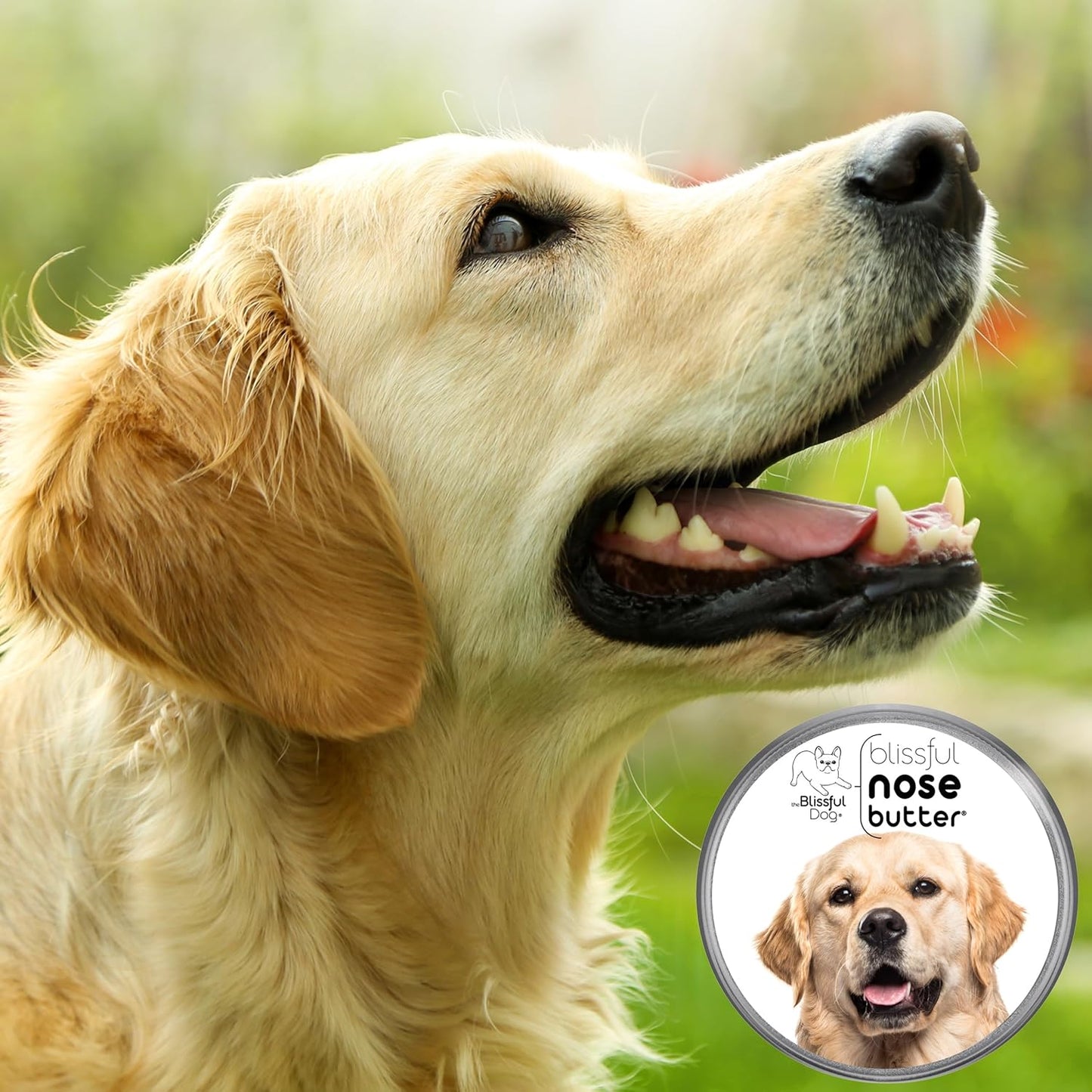 The Blissful Dog Golden Retriever Nose Butter, Versatile Dog Nose Balm for Dry Nose, Handcrafted Nose Moisturizer, Easy-to-Apply Dog Essentials, Unscented, 1 oz.