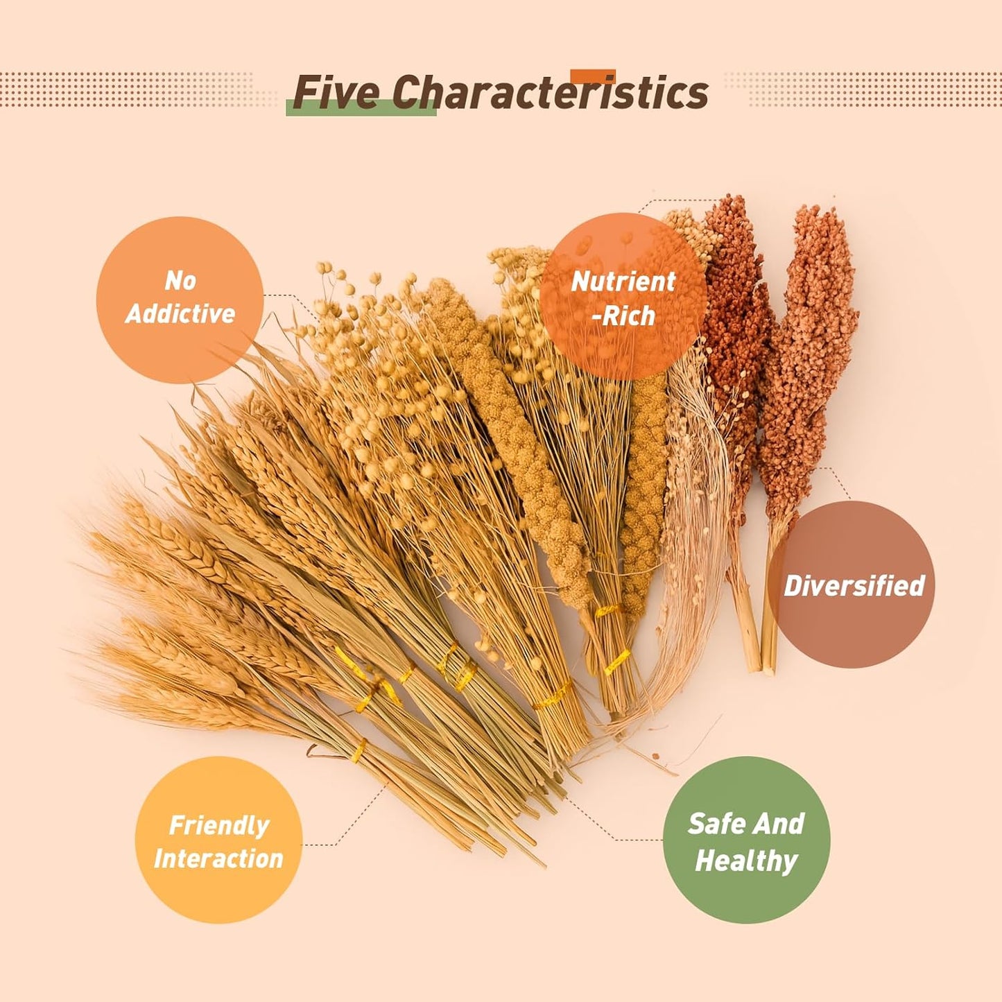 ZIPPYPET Hamster Sprays and Forage Accessories for Cages, Pet Mouse Decor Textures (7)