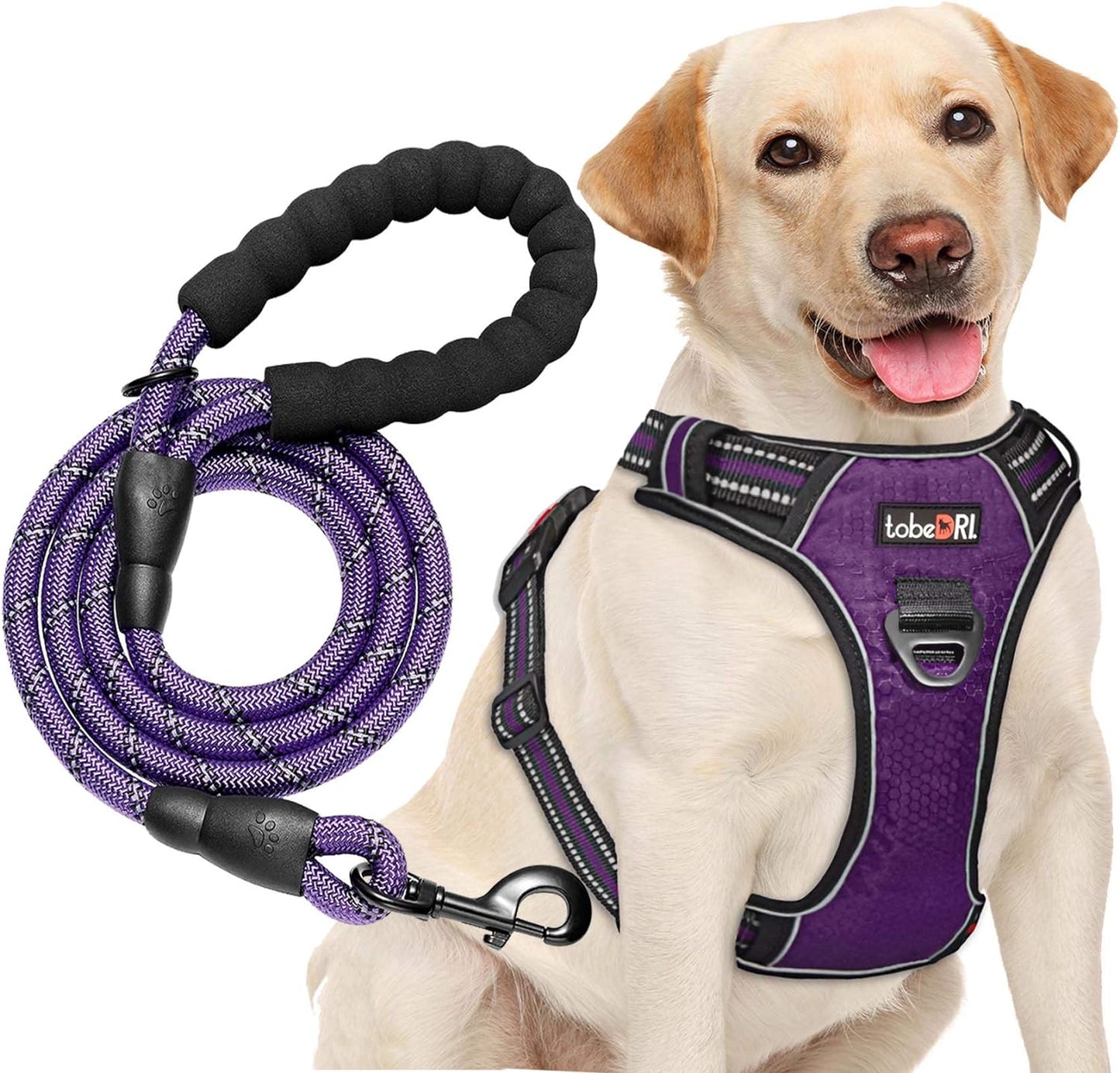 No Pull Dog Harness Adjustable Reflective Oxford Easy Control Medium Large Dog Harness with A Free Heavy Duty 5ft Dog Leash (S (Neck: 13"-18", Chest: 17.5"-22"), Purple Harness+Leash)