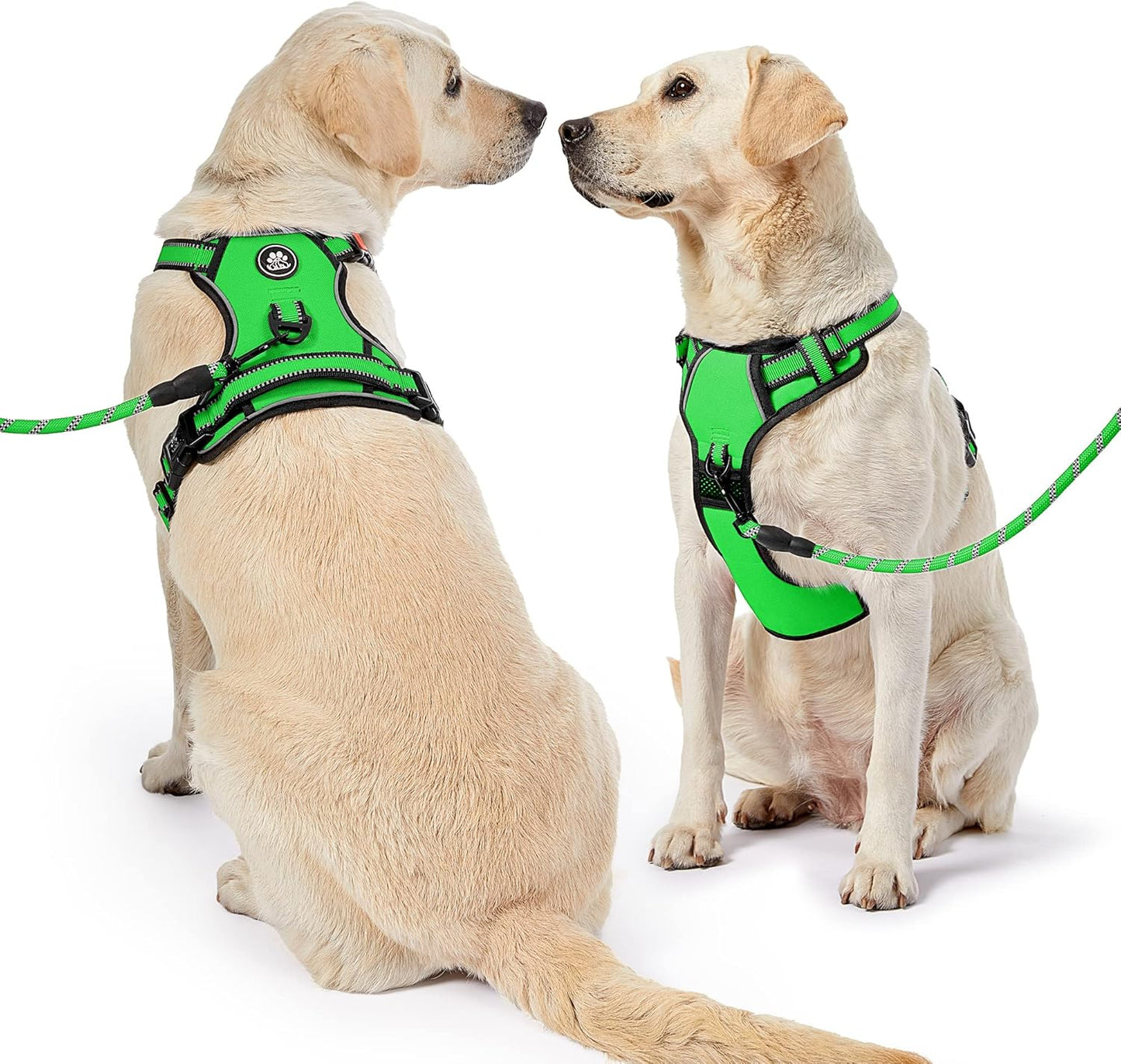 NESTROAD No Pull Dog Harness,Adjustable Oxford Dog Vest Harness with Leash,Reflective No-Choke Pet Harness with Easy Control Soft Handle for Small Dogs(Small,FluorescentGreen)