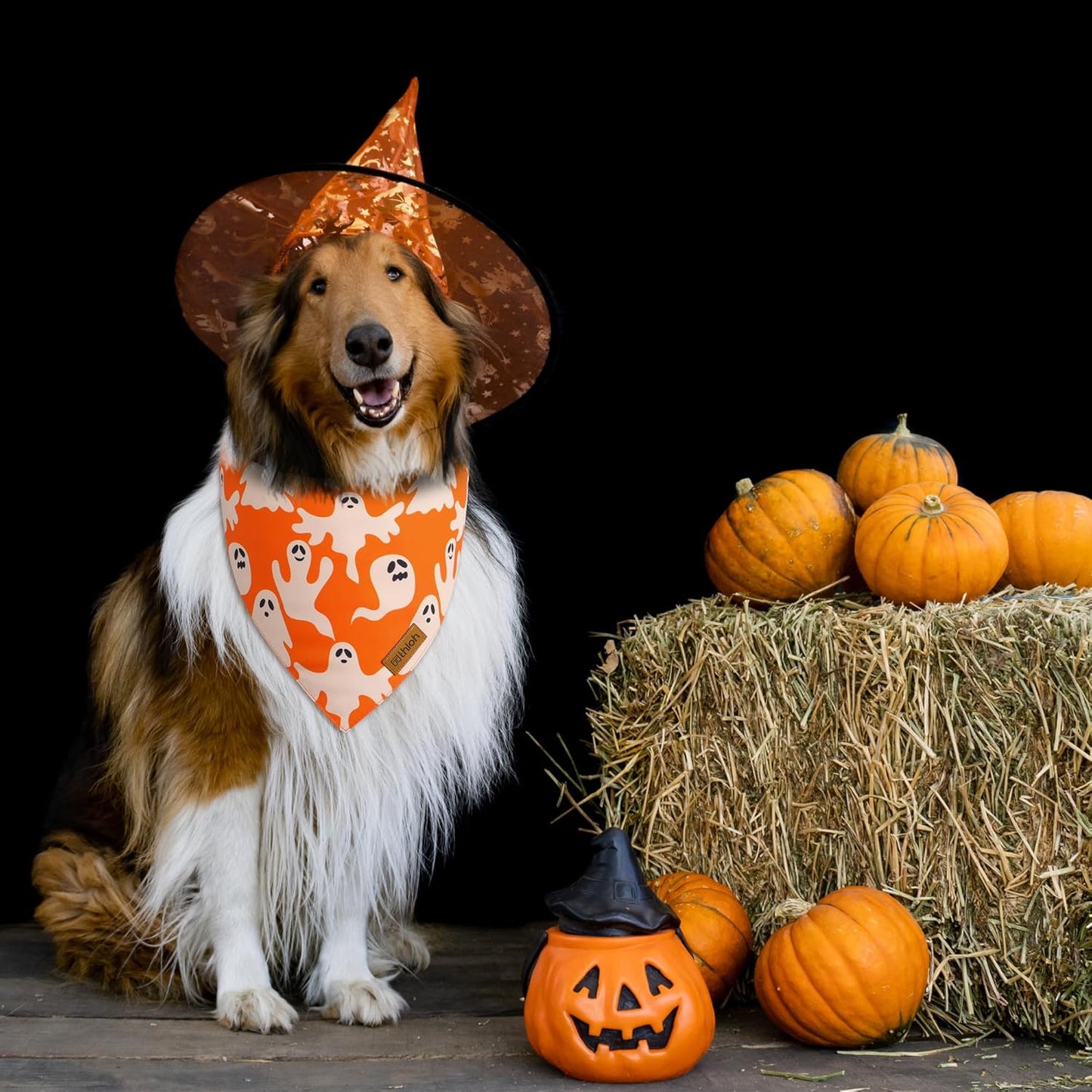 Halloween Dog Bandanas - 2 Pack Fall Dog Bibs | Reversible Pumpkin and Ghost Pet Scarf for Boys and Girls | Premium Durable Fabric | Orange Dog Bandana for Small and Medium Dogs (Small)