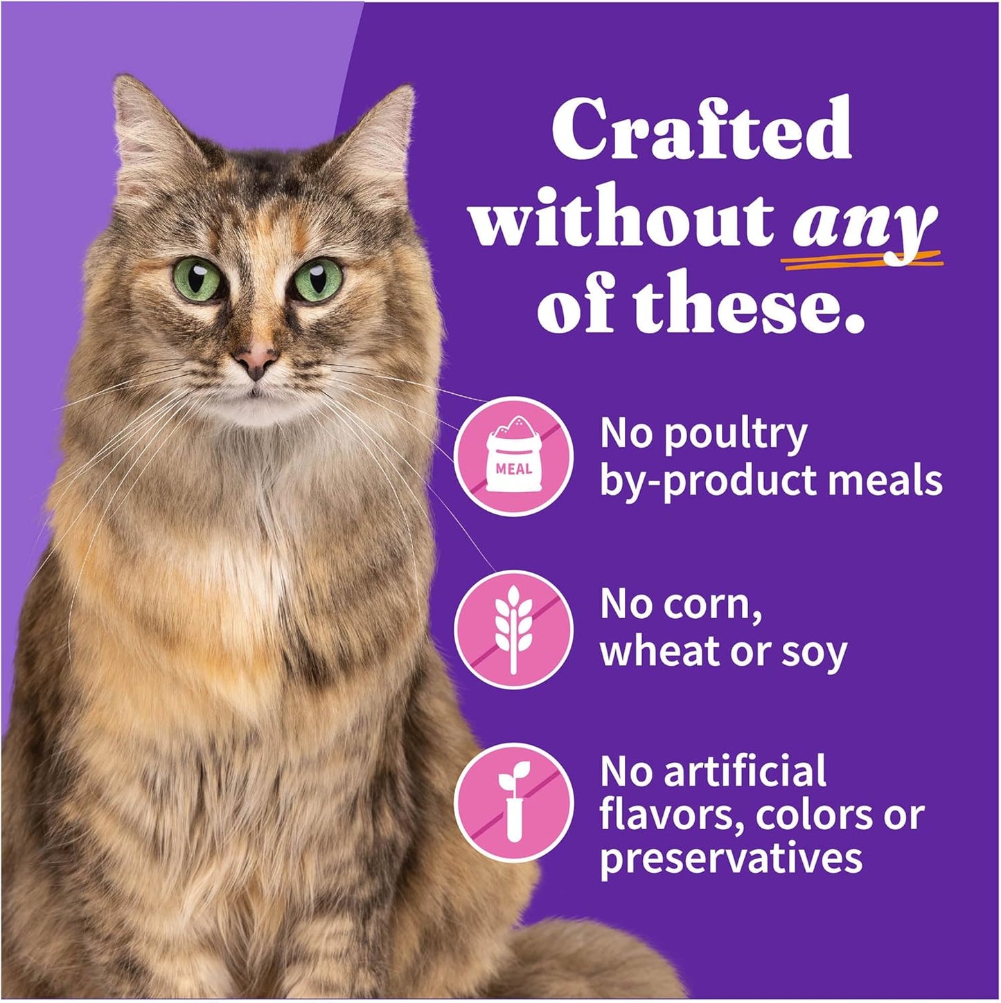 Halo Wet Cat Food Whole Turkey Stew Recipe, Grain Free Wet Cat Pate, Canned Cat Food for Extra Hydration, 5.5 Oz Can (Pack of 12)