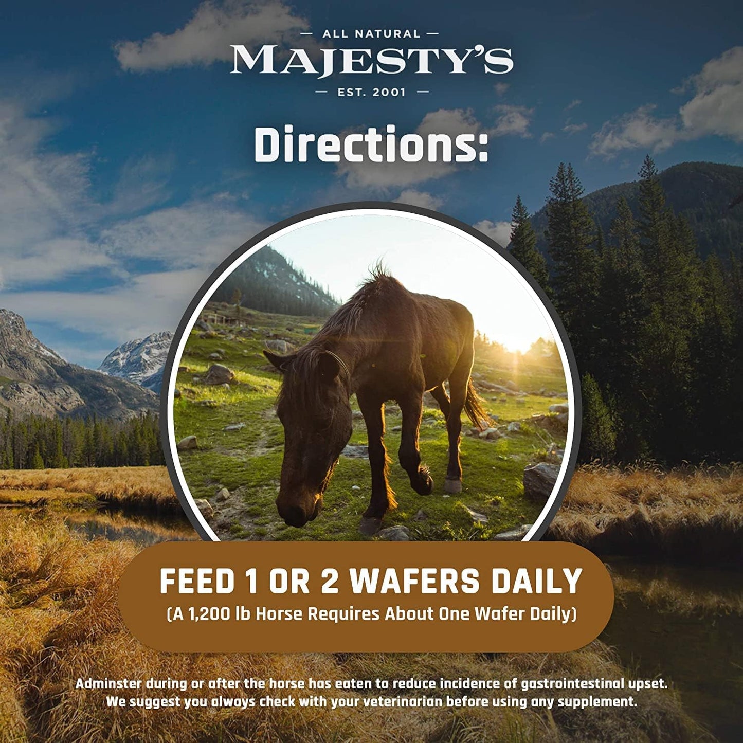 Majesty's Omega Wafers - Superior Horse/Equine Skin, Coat, and Immune Support Supplement - Omega 3, 6, 9, and Biotin (Regular, 2 Pack(120 Count Total))