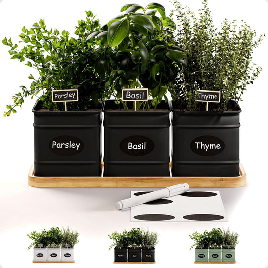 Herb Planter Indoor - 3 Iron Herb Pots with Drainage Holes, Varnished Bamboo Tray, Customizable Labels & Marker Pen - Indoor Herb Garden Planter - 3 Pots for Herbs - Inside Spice Garden - Basil Pot