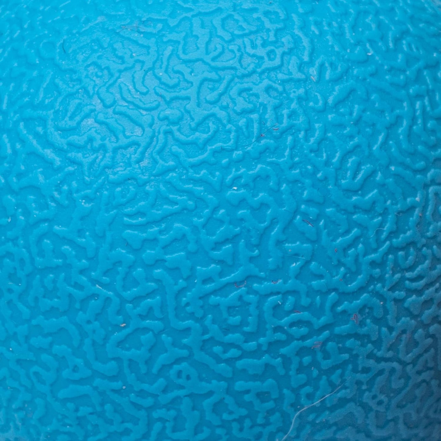 Amazon Basics Dog Toys, Interactive Fetch Rubber Balls, (Pack of 3), 2.5 inch, Blue, Orange