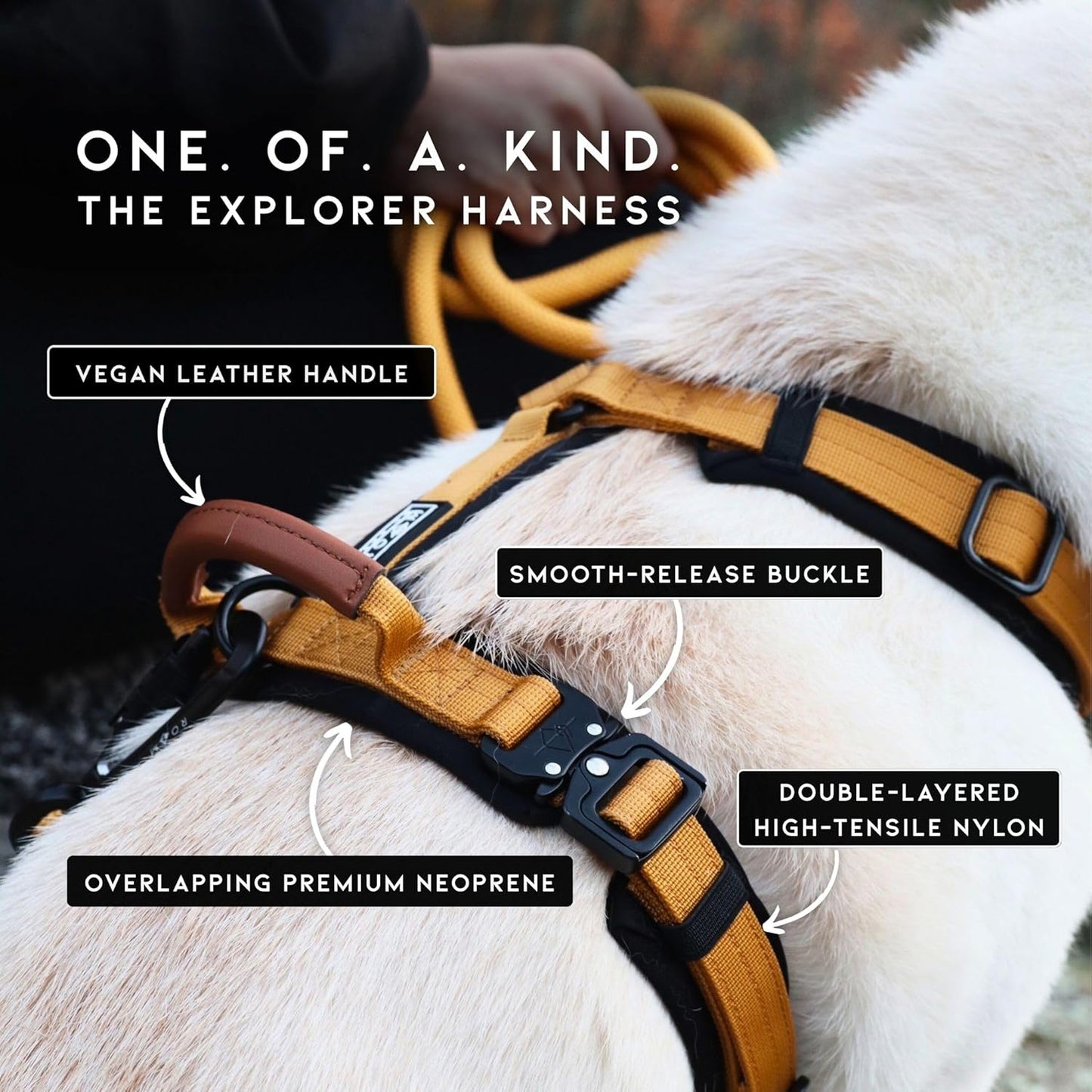 MADE TO ROAM Premium Explorer Harness - Y-Shaped Dog Harness with Adjustable Durable Nylon, Soft Padding, Metal Buckles and Leather Handle for Small, Medium, Large Dogs (Oregon Haze, Size 5)