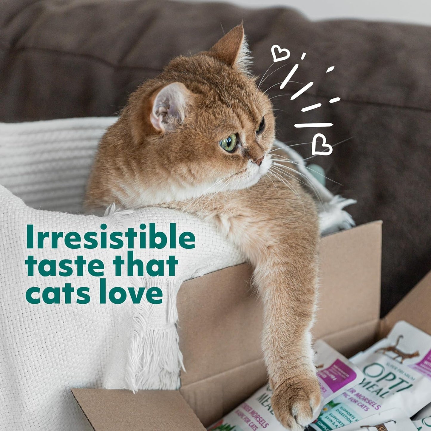 Optimeal Grain-Free Wet Cat Food – Lamb & Veggies Recipe, High Protein & Moisture Rich Indoor Adult Cats Food, Tender Morsels in Savory Gravy Natural Ingredients - 3 oz Pouches, 12 Pack