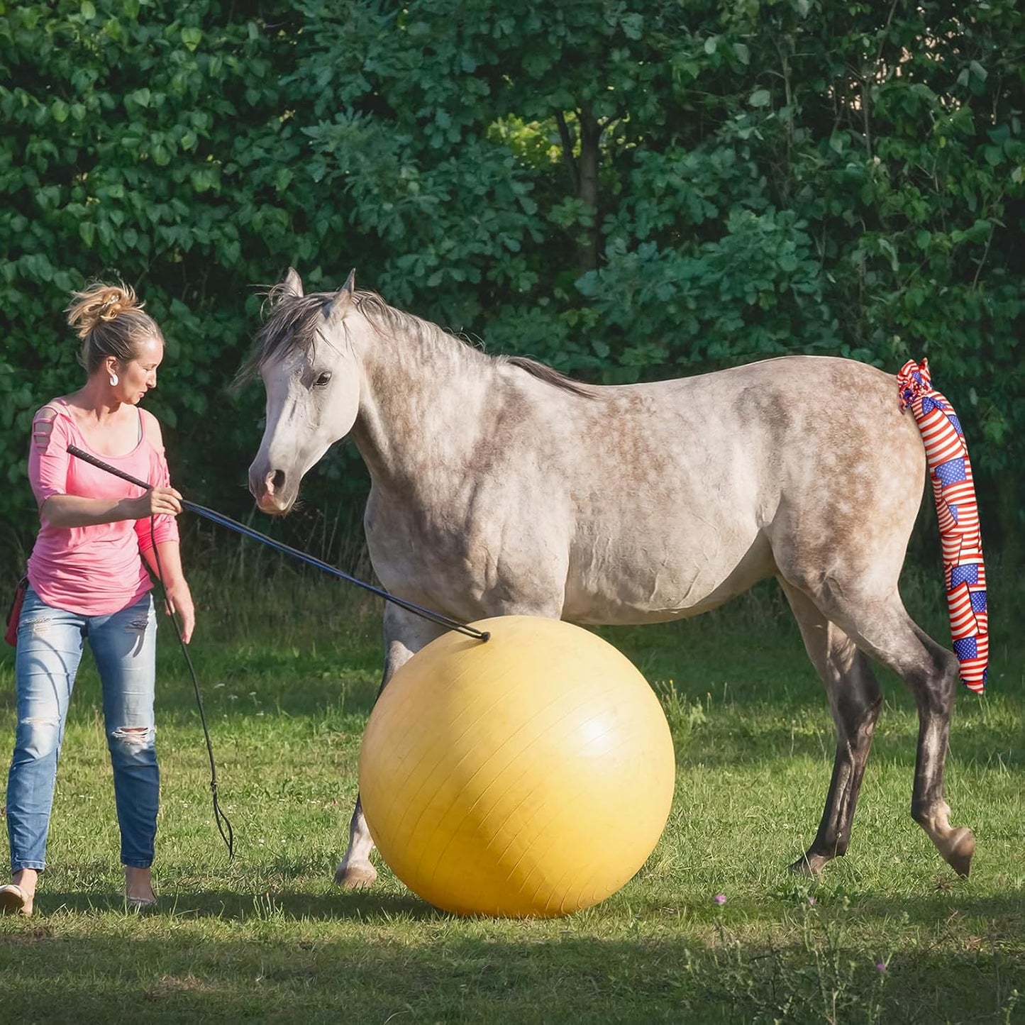 6 Pcs Horse Tail Bag Breathable Guard 22" Slip on Horse Care Tail Wrap 2 Strand Closure Straps Grooming Supplies to Keep from Dirt Breakage Rubbing 6 Designs(Modern Style)
