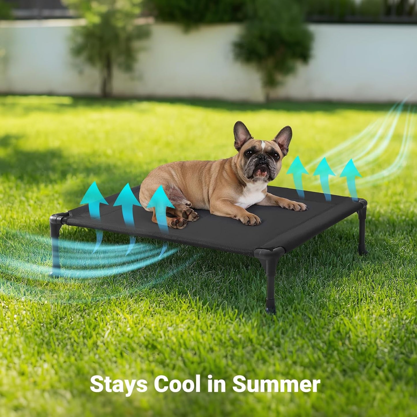 Veehoo Cooling Elevated Dog Bed, Portable Raised Pet Cot with Washable & Breathable Mesh, No-Slip Feet Durable Dog Cots Bed for Indoor & Outdoor Use, Medium, CWC1803-M