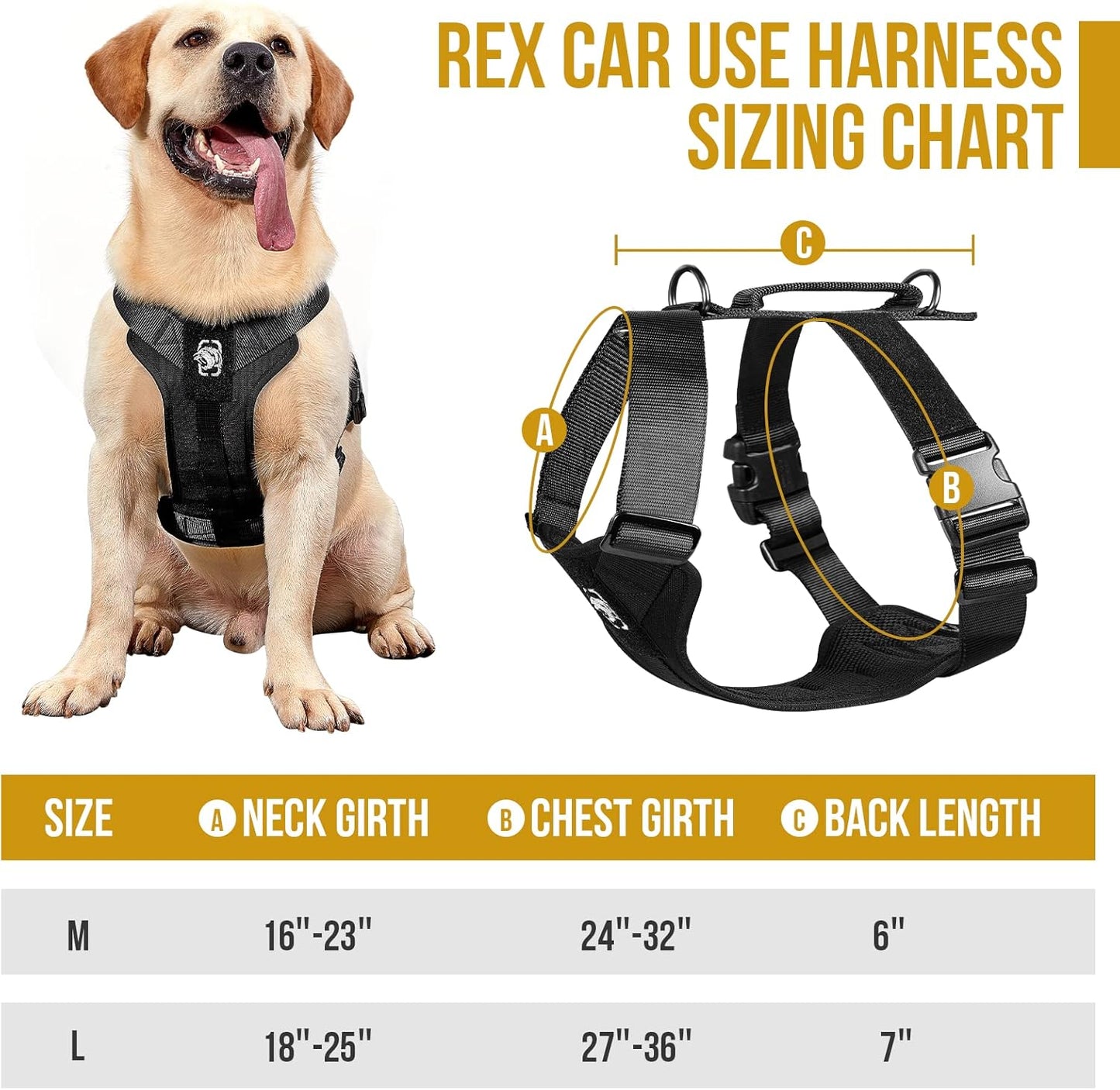 OneTigris Dog Safety Vest Harness, REX Car Use Dog Harness Adjustable Pet Harness with Leash for Medium Large Dogs(Black,L)