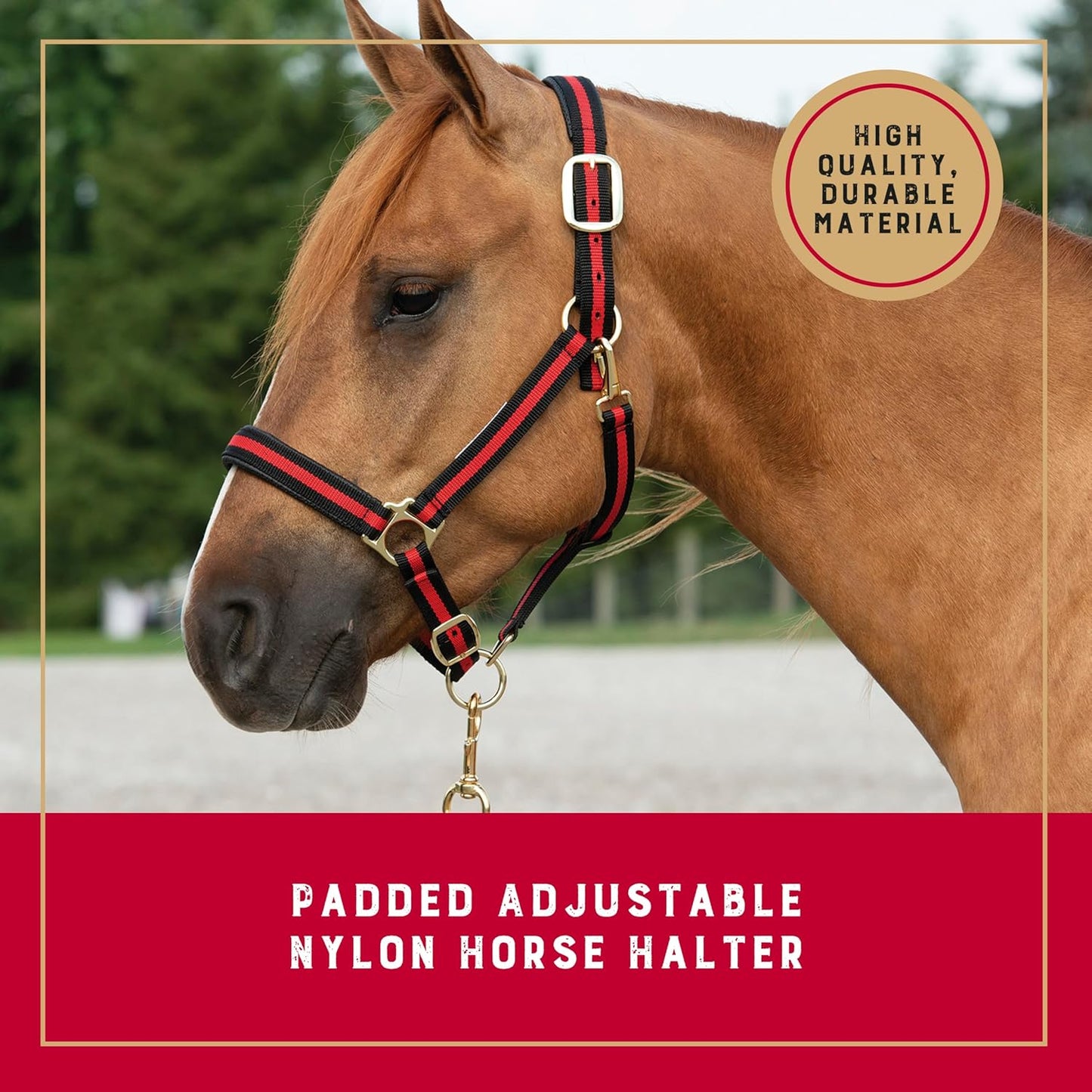 Weaver Leather Nylon Horse Halter, Padded and Adjustable, Chin and Throat Snap Hook Halters for Horses, Brass Plated Halters for Training