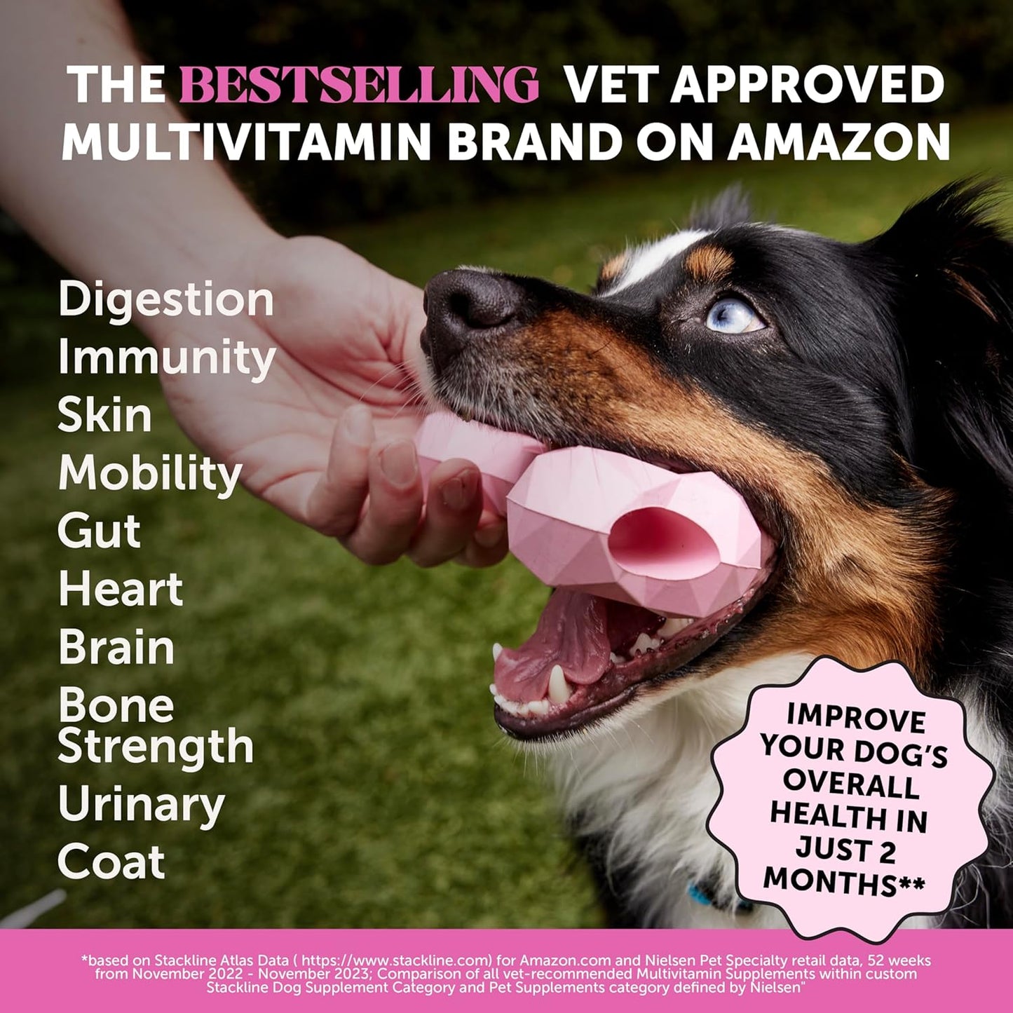 Multivitamin Dog Supplement, Glucosamine Chondroitin for Dogs, Probiotics, Omega Fish Oil, Dog Supplements & Vitamins, Vitamins for Skin and Coat Allergies (Chicken 90 ct)