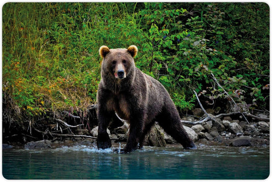 Lunarable Cabin Pet Mat for Food and Water, Grizzly Brown Bear in Lake Alaska Untouched Forest Jungle Wildlife Image, Non-Slip Rubber Mat for Dogs and Cats, 18" X 12", Brown Green