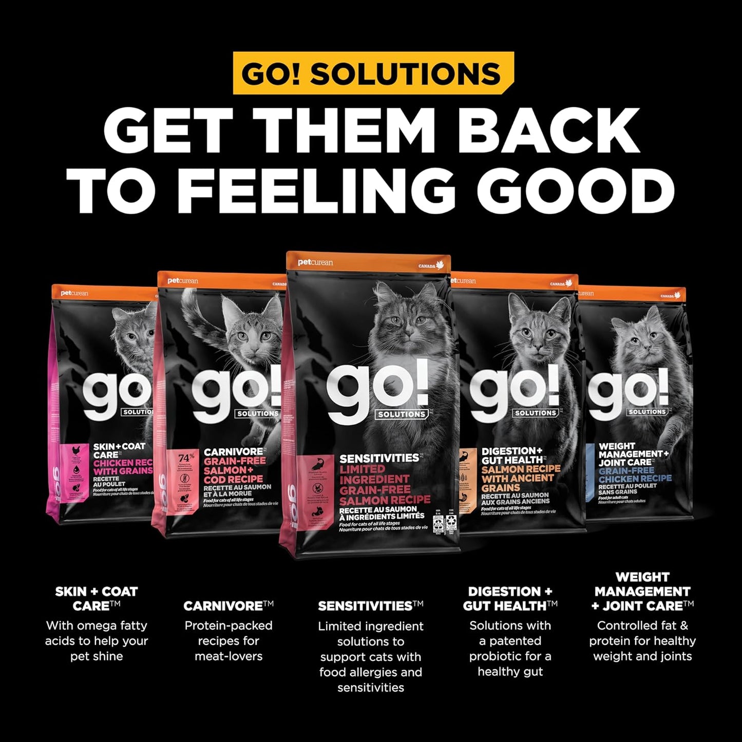 Go! Solutions Sensitivities Limited Ingredient, Grain-Free Dry Cat Food, Salmon Recipe for Sensitive Stomach, 3 lb Bag