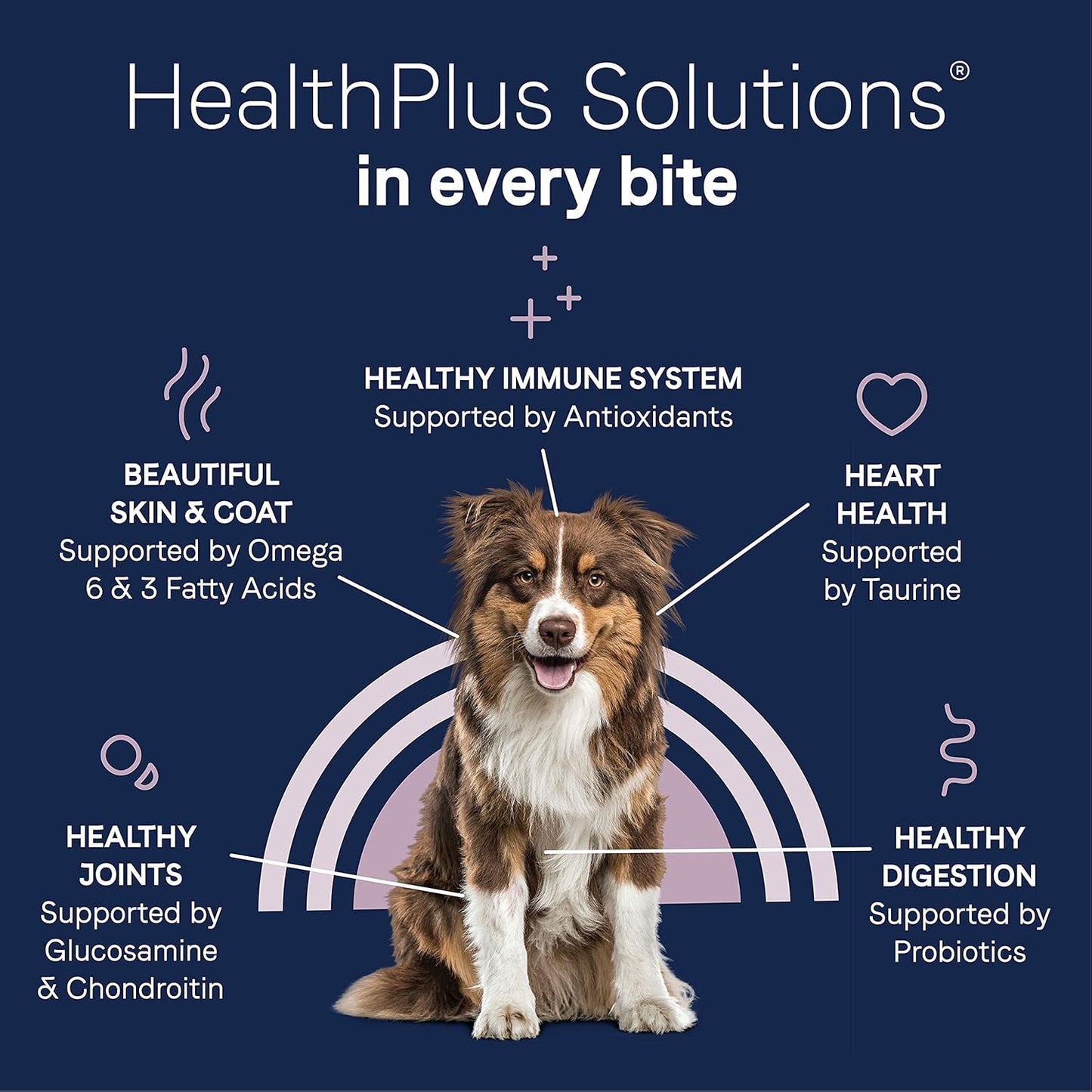 Canidae Pure Limited Ingredient Premium Adult Dry Dog Food, Real Bison, Lentil & Carrot Recipe, 10 lbs, Grain Free