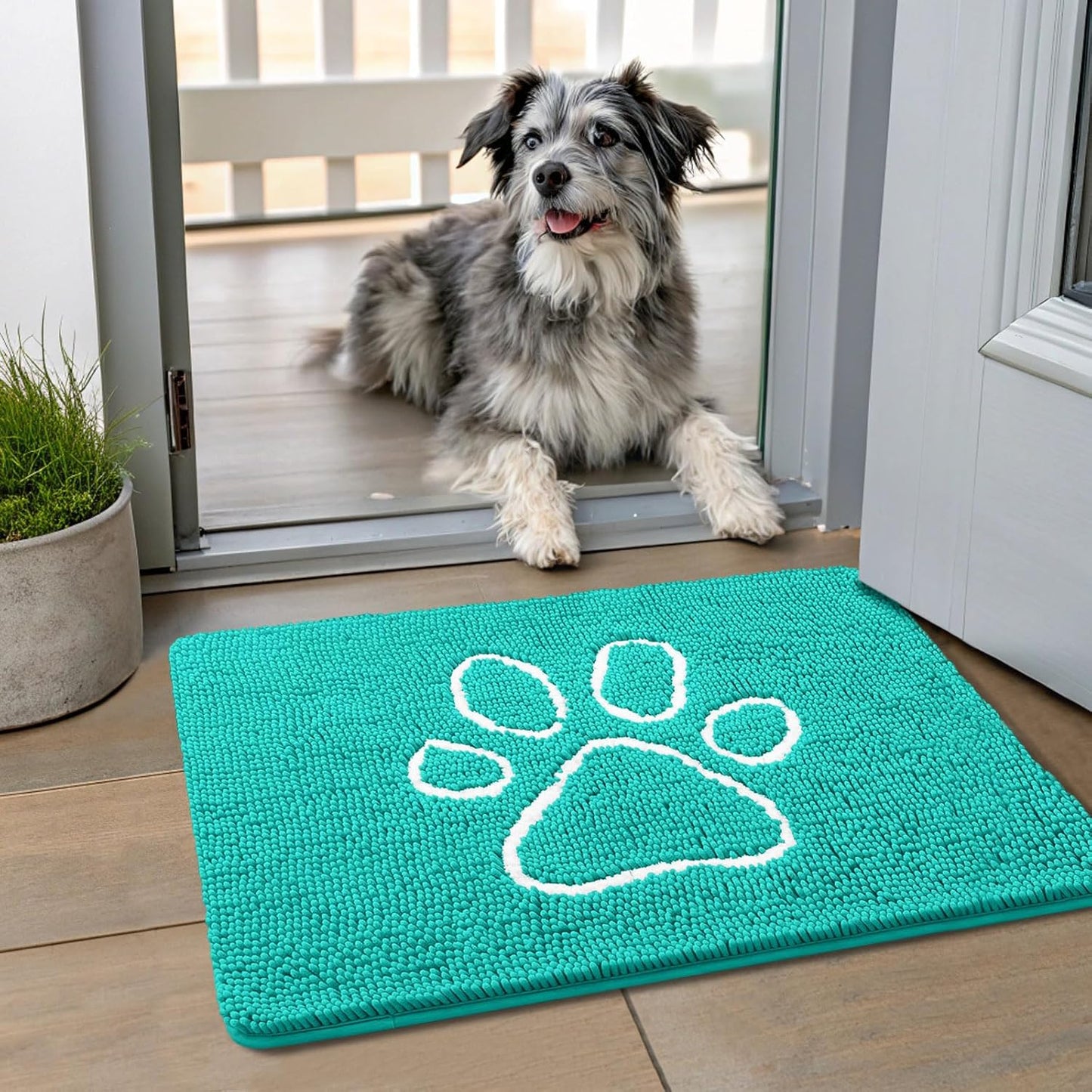 Smiry Dog Door Mat for Muddy Paws, Absorbent Dirt Trapper Non Slip Quick Dry Washable Chenille Mat for Mud Dogs, Entry Rug for Indoor and Outdoor (24x16 Inches, Turquoise)