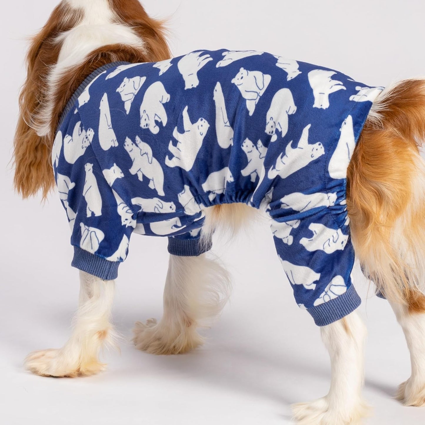 Fitwarm Polar Bear Dog Pajamas, Dog Clothes for Small Dogs Girl Boy, Pet Onesie with Feet, Cat Outfit, Lightweight Velvet, Royal Blue, White, XS