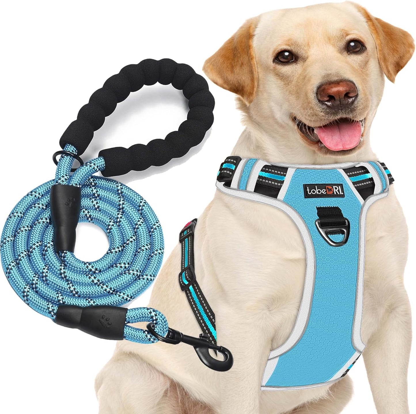 No Pull Dog Harness Adjustable Reflective Oxford Easy Control Medium Large Dog Harness with A Free Heavy Duty 5ft Leash
