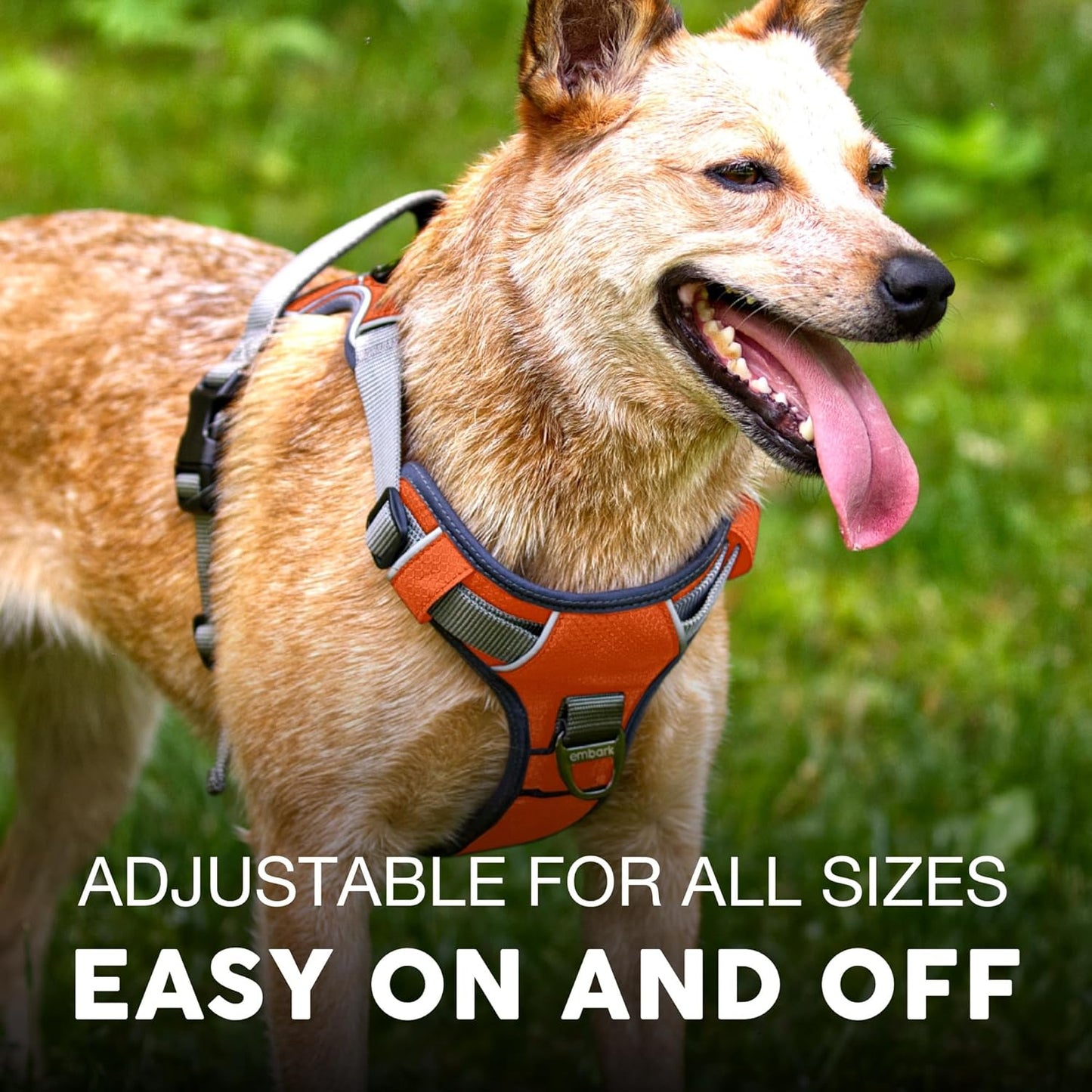 Embark Adventure Dog Harness, Reflective Trim XL Dog Harness for Extra Large Dogs No Pull - Military Grade Nylon, 2 Leash Clips & Gel Lined Handle.