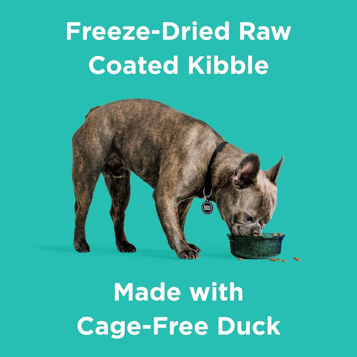 BIXBI Rawbble Dry Dog Food, Duck, 24 lbs - USA Made with Fresh Meat - No Meat Meal & No Corn, Soy or Wheat - Freeze Dried Raw Coated Dog Food - Minimally Processed for Superior Digestibility