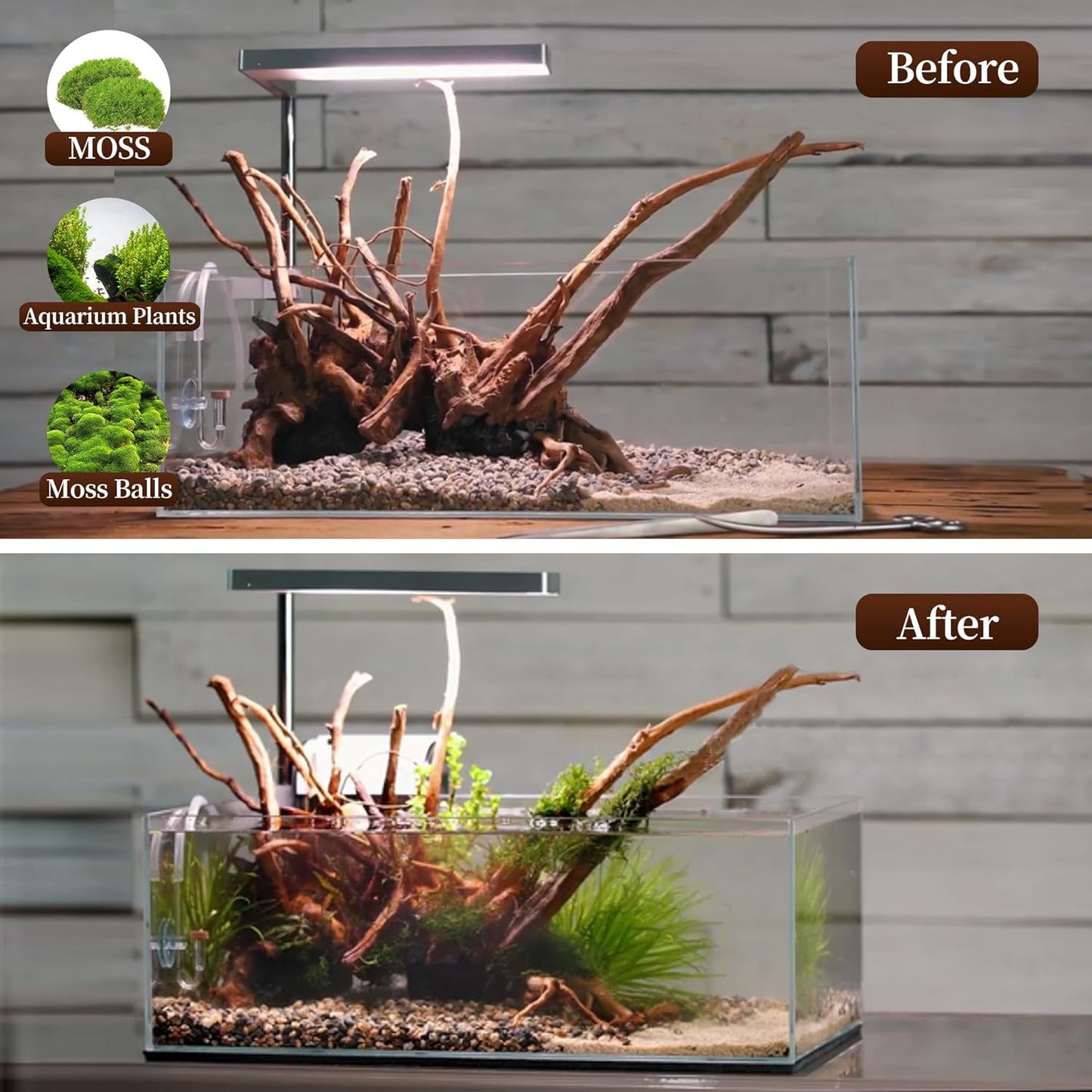 majoywoo Natural Driftwood for Aquarium Decor Fish Tank Decorations, Assorted Spider Wood Branch 7-11" 3 Pcs, Reptile Decor