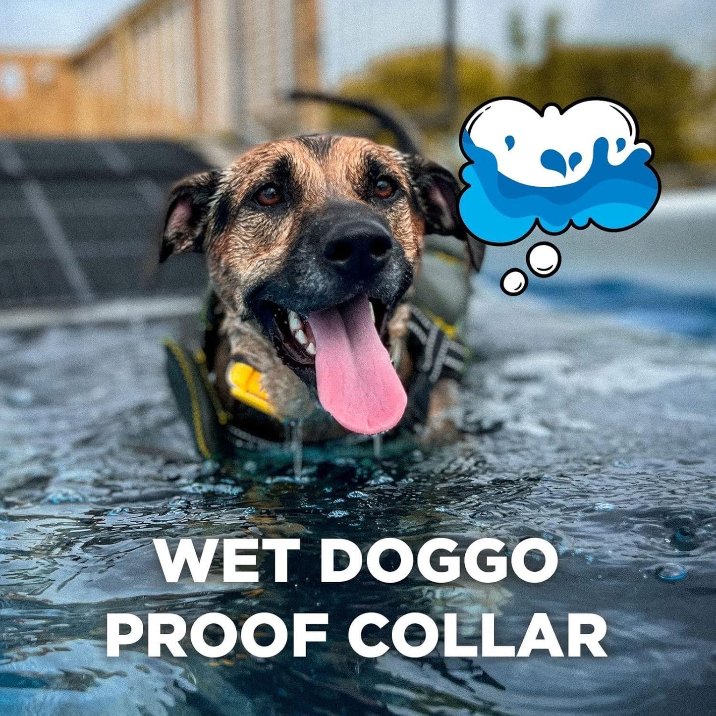 Dogtra CUE Yellow – E-Collar for Dogs Training Collar with Remote – Training Made Easy for Everyday Dog Owners – Gentle Vibration, Custom Boost, Waterproof, Rechargeable, 400-Yard Range System