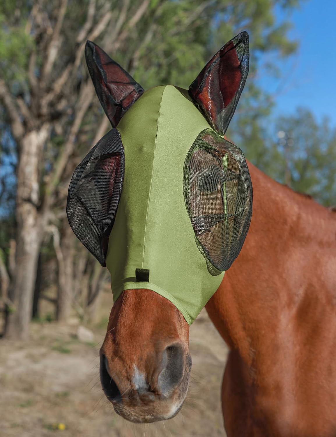 Horse Fly Mask with Ears, UV Protection for Horses, Elasticity with Big Mesh Eye Covers, Snug Fitting Comfortable Breathable Lightweight for Horses Olive Green Cob