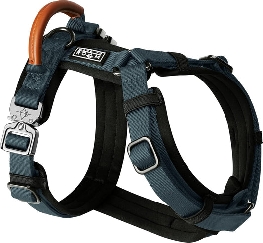 MADE TO ROAM Premium Explorer Harness - Y-Shaped Dog Harness with Adjustable Durable Nylon, Soft Padding, Metal Buckles and Leather Handle for Small, Medium, Large Dogs (Colorado Nightsky, Size 6)