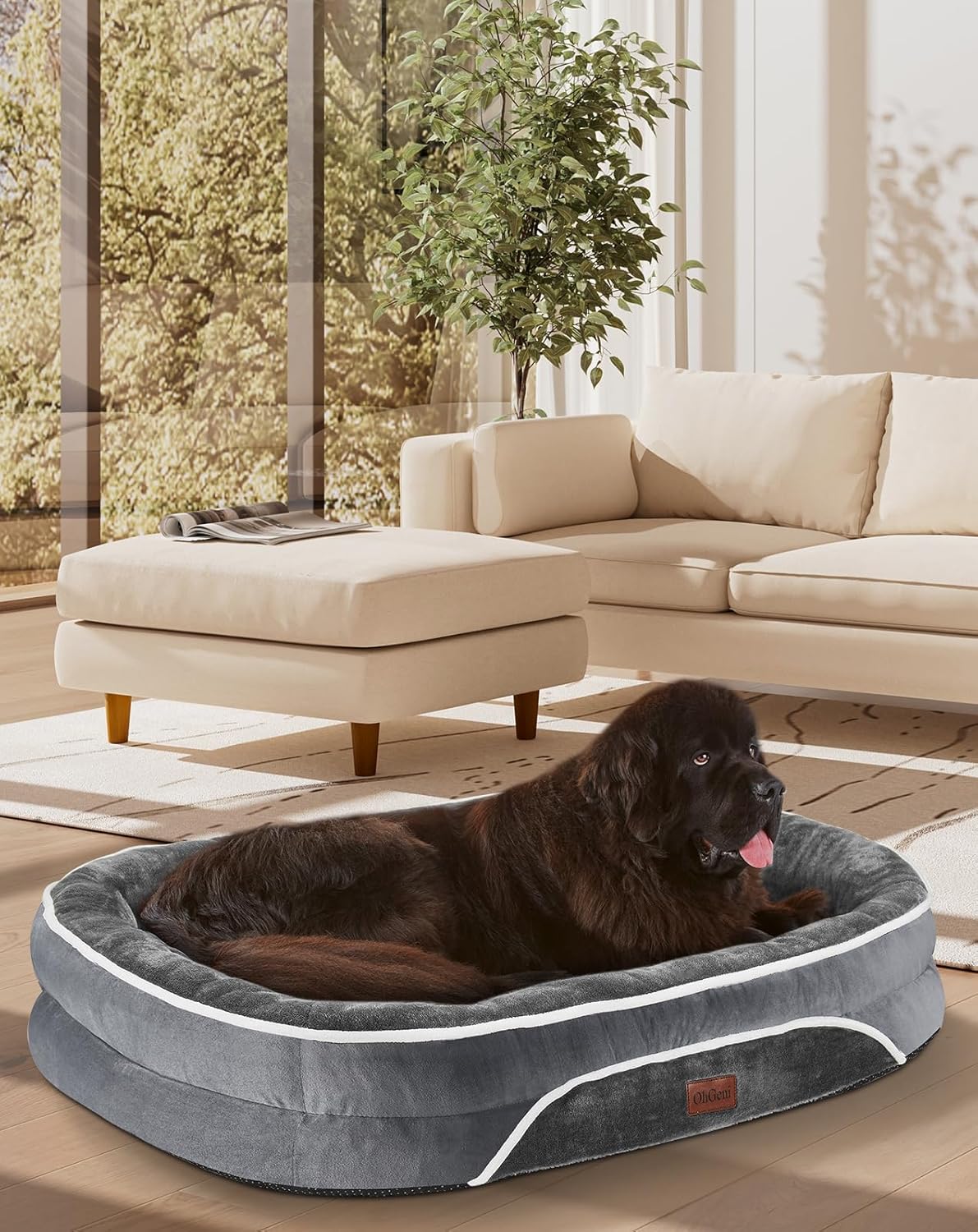 OhGeni Orthopedic Jumbo Dog Couch Pet Sofa XXL Sized Cat Beds with Comfort Foam Support, Soft Comfortable Fabric, Machine Washable Waterproof Removable Cover, 48-Inch (Gray)
