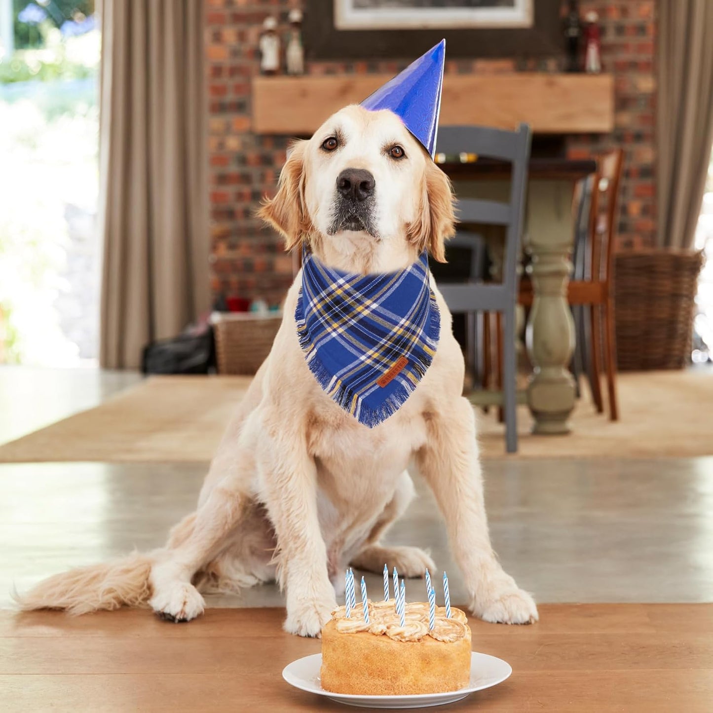 ADOGGYGO Dog Bandanas Boy with Tassels Edges, Stylish Blue Plaid Pet Scarf, Soft Cotton Fabric, Adjustable Reversible Plaid Bandanas for Extra Large Dogs (X-Large)