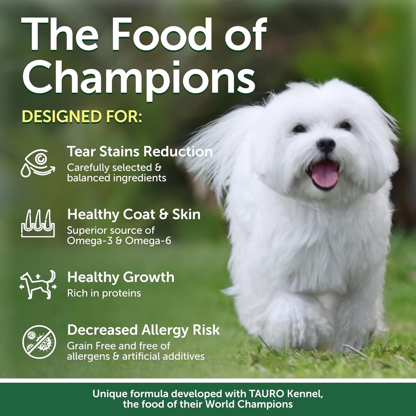 Nature's Protection Superior Care White Dogs Grain-Free Dry Dog Food - High Protein, Tear Stain Remover Dog Food for Small & Mini Breeds Light Coated Adult Dogs, Fresh Pet Meal, Insects, 3.3 lb