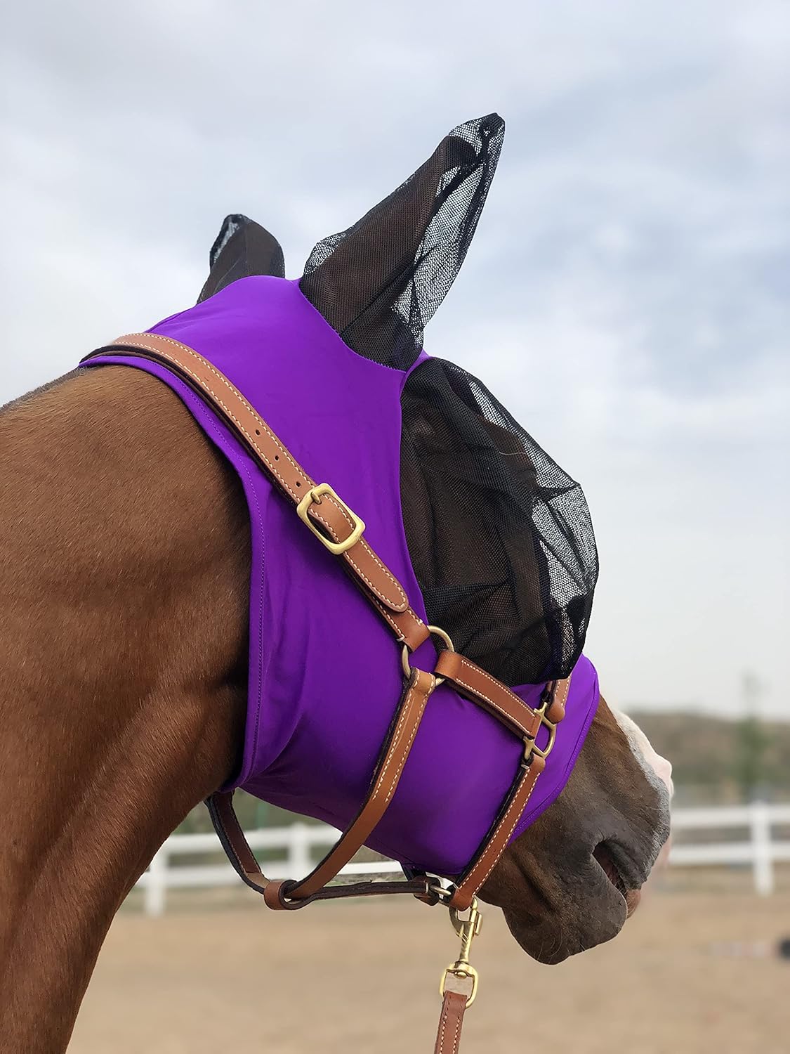 Horse Fly Mask Super Comfort Horse Fly Mask Elasticity Fly Mask with Ears We Only Make Products That Horses Like… (Dk Purple, L)