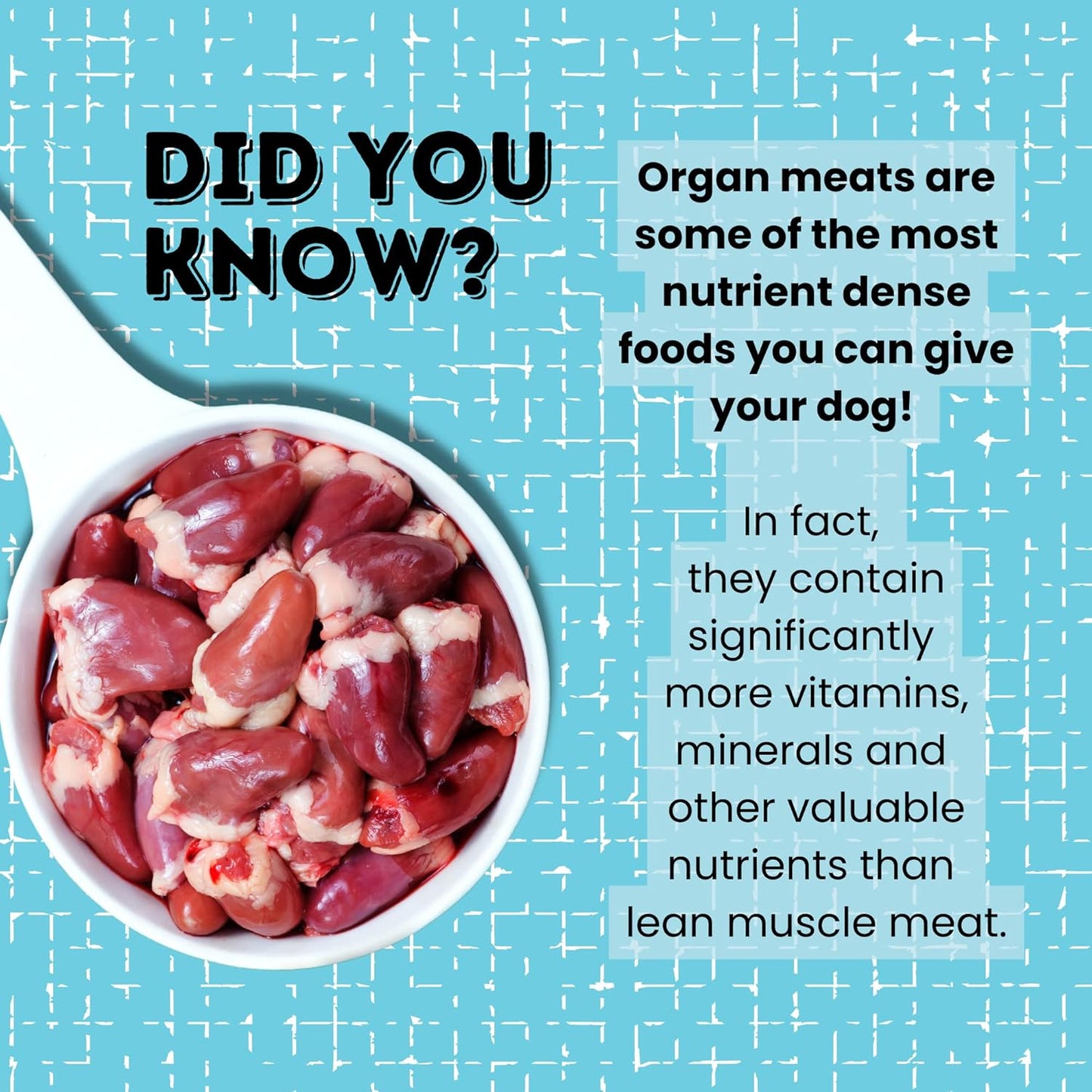 hotspot pets Freeze Dried Duck Heart Treats for Cats & Dogs - Made in USA, 1LB Big Bag - Single Ingredient All Natural Grain-Free Duck Hearts - Perfect for Training, Topper or Snack