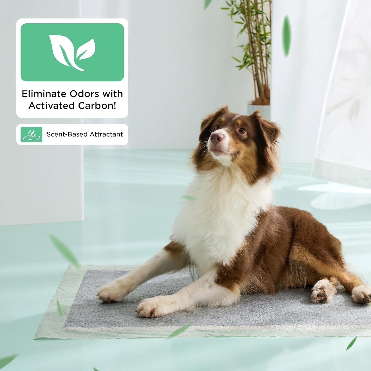 Bedsure Pee Pads for Dogs, 22" x 22" Puppy Pads 100 Count, Super Absorbent & Leak Proof, Small Dog Training Pads Quick Dry Thicken Pets Potty Pads Odor-Control Activated Carbon & ECO Green Material