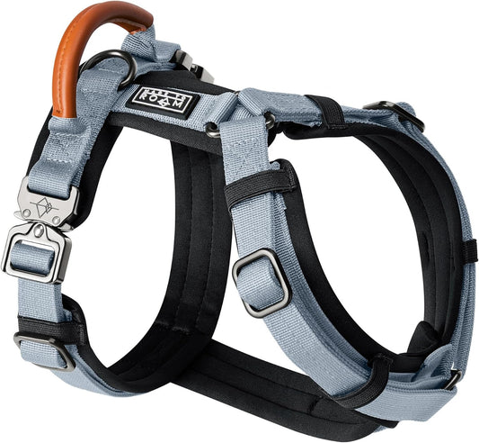 MADE TO ROAM Premium Explorer Harness - Y-Shaped Dog Harness with Adjustable Durable Nylon, Soft Padding, Metal Buckles and Leather Handle for Small, Medium, Large Dogs (Virginia Mountains, Size 6)