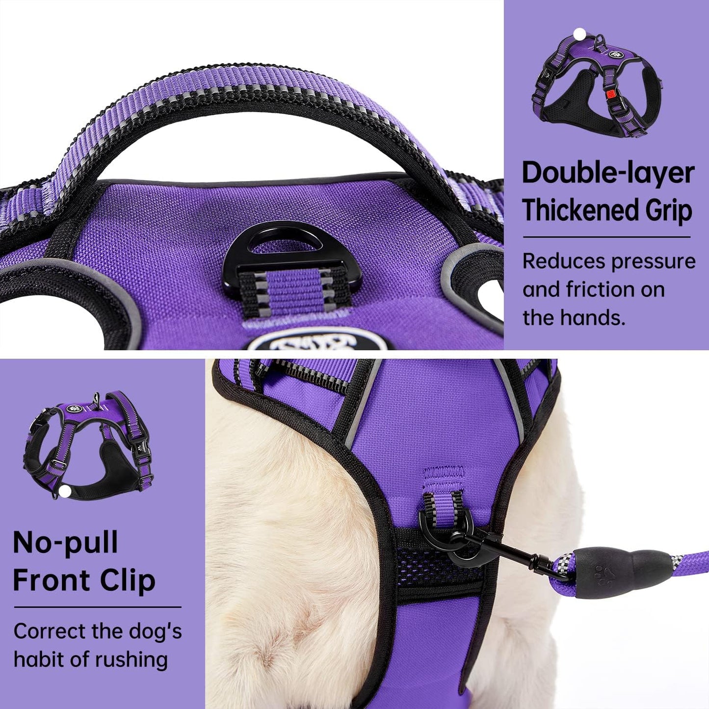 IVY&LANE No Pull Dog Harness for Small Dogs, Dog Vest Harness with Leash, Safety Belt and Storage Strap, Fully Adjustable Harness, 360° Reflective Strip, Soft Handle (Purple, XS)