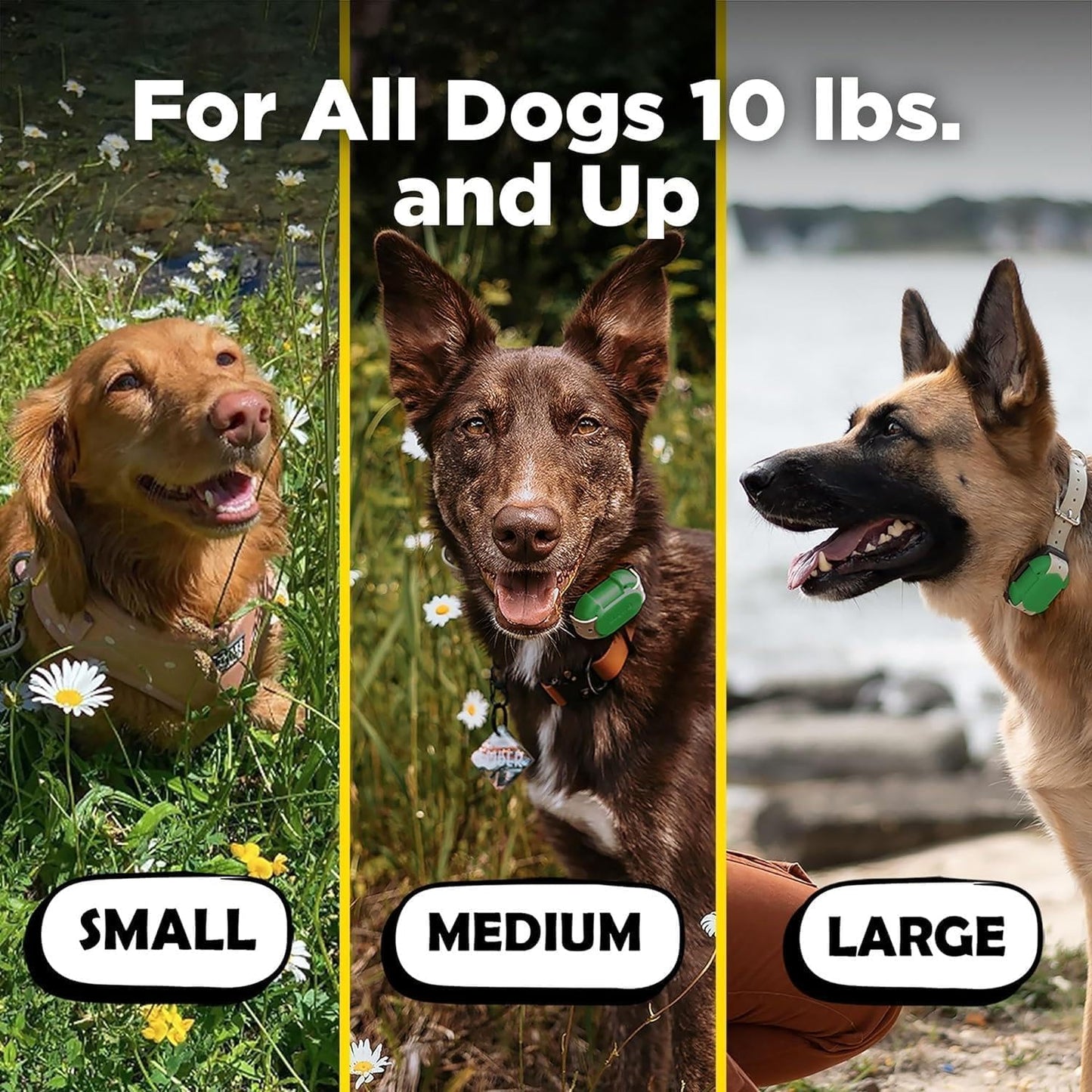 Dogtra CUE Green – E-Collar for Dogs Training Collar with Remote – Training Made Easy for Everyday Dog Owners – Gentle Vibration, Custom Boost, Waterproof, Rechargeable, 400-Yard Range System