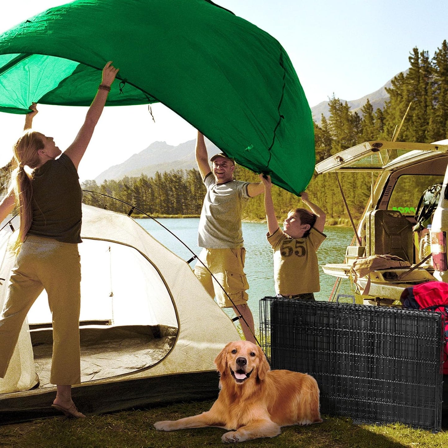 DUMOS Dog Crate with Double Doors, Metal Foldable Pet Cage with Divider Panel and Removable Tray, Portable Large Kennel for Outdoor Indoor with Handle, Black, 42 Inch